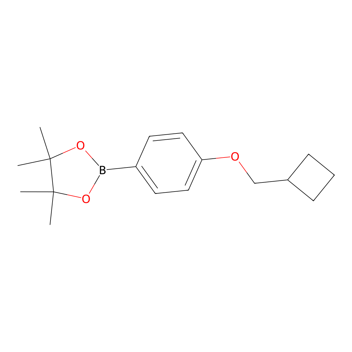 2-(4-(Cyclobutylmethoxy)phenyl)-4,4,5,5-tetramethyl-1,3,2-dioxaborolane molecular structure, CAS 1644157-15-2