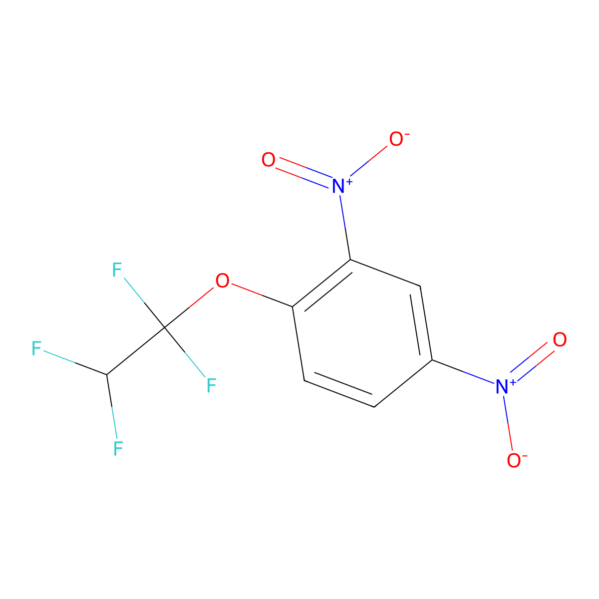 2,4-Dinitro-1-(1,1,2,2-tetrafluoroethoxy)benzene molecular structure, CAS 1645-67-6