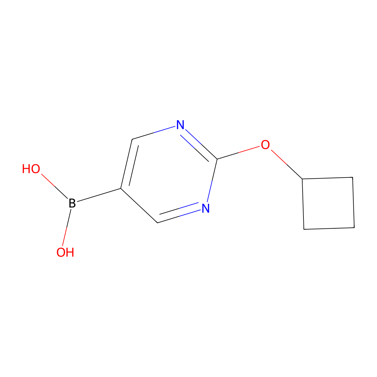 (2-Cyclobutoxypyrimidin-5-yl)boronic acid molecular structure, CAS 1646268-09-8