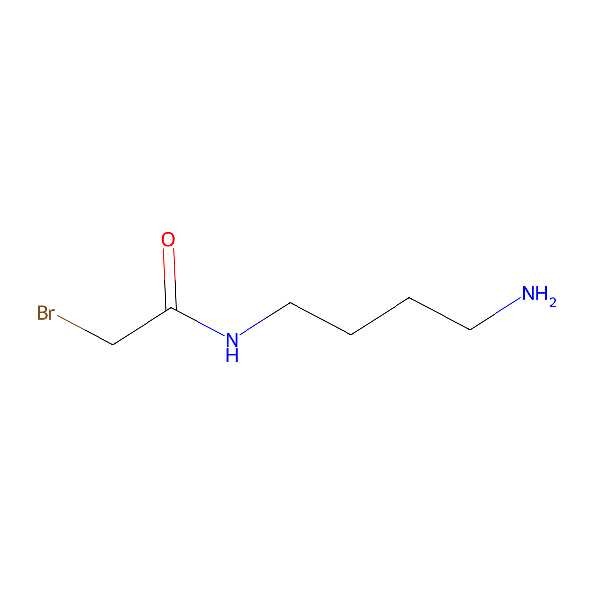 N-(4-aminobutyl)-2-bromoacetamide molecular structure, CAS 16504-93-1