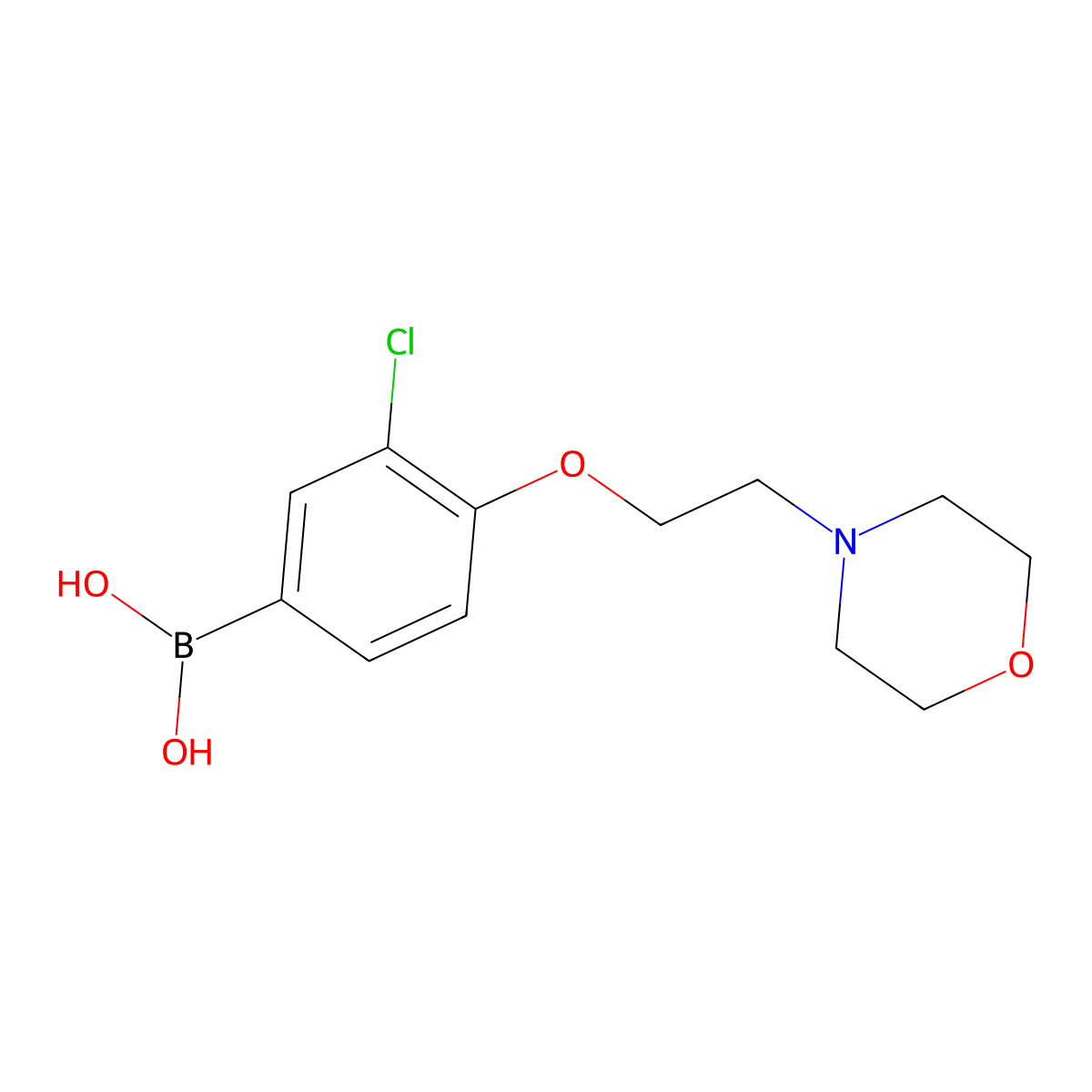 (3-Chloro-4-(2-morpholinoethoxy)phenyl)boronic acid molecular structure, CAS 1661013-09-7