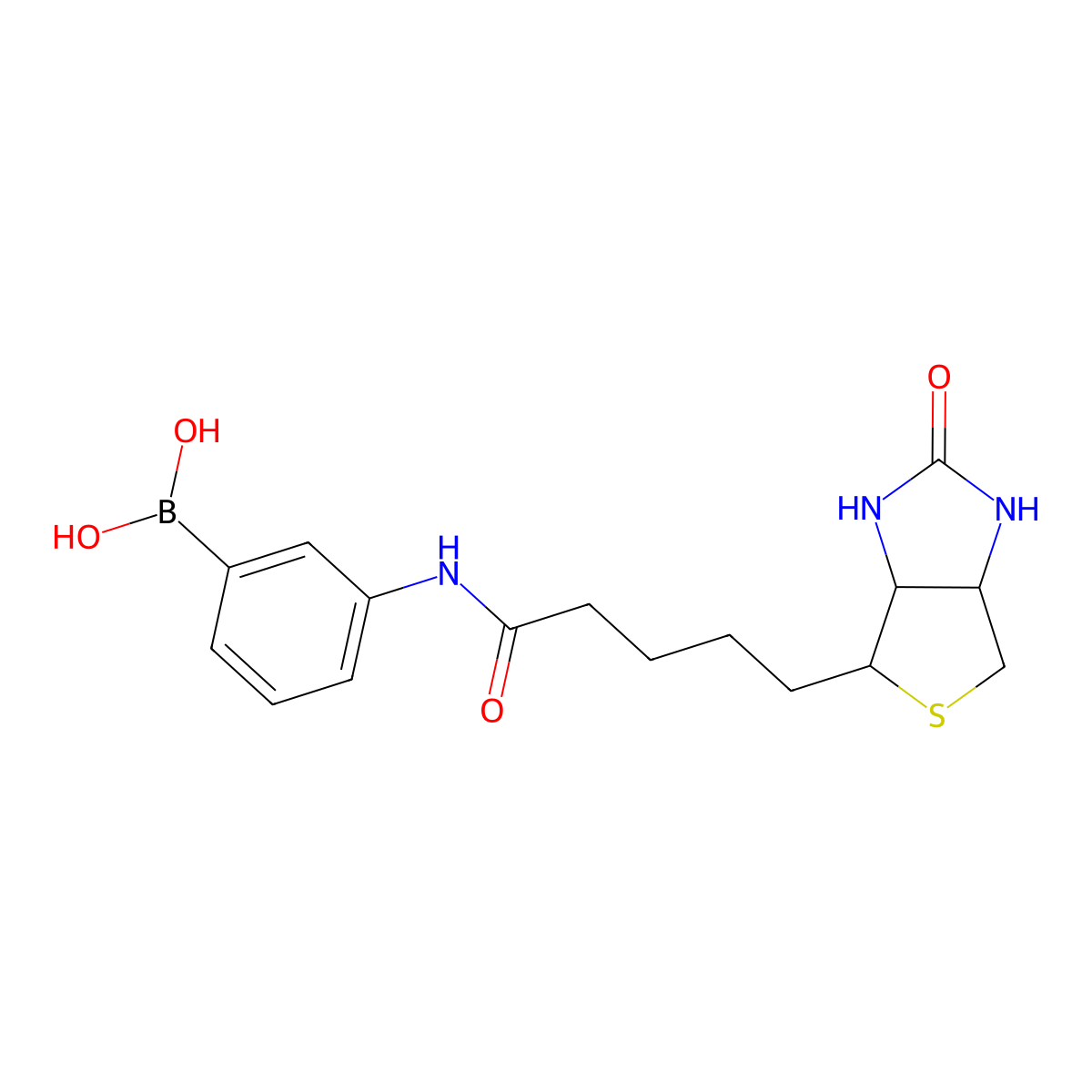 Biotinyl-phenylboronic acid molecular structure, CAS 1661014-48-7
