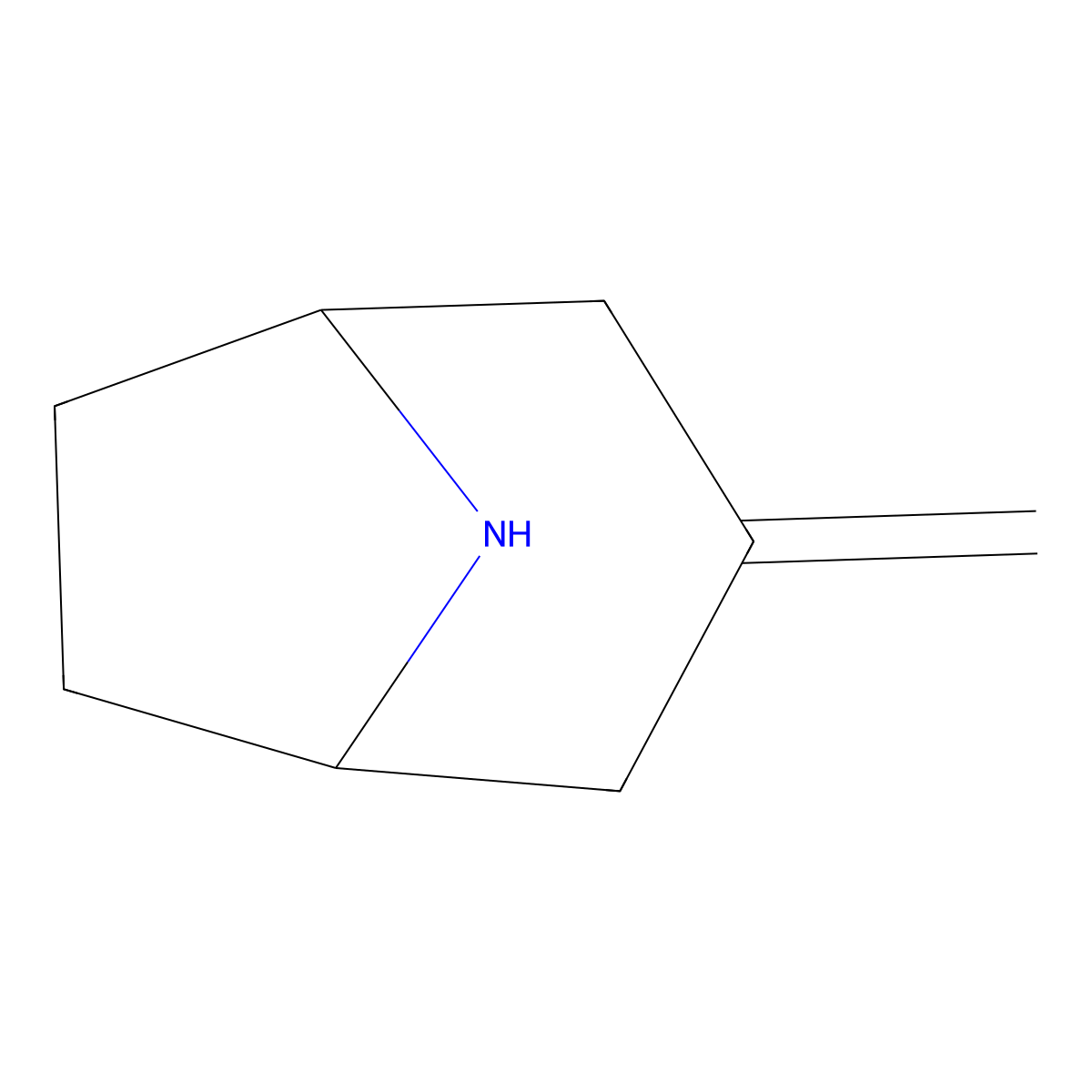 3-Methylidene-8-azabicyclo[3.2.1]octane molecular structure, CAS 1688730-50-8