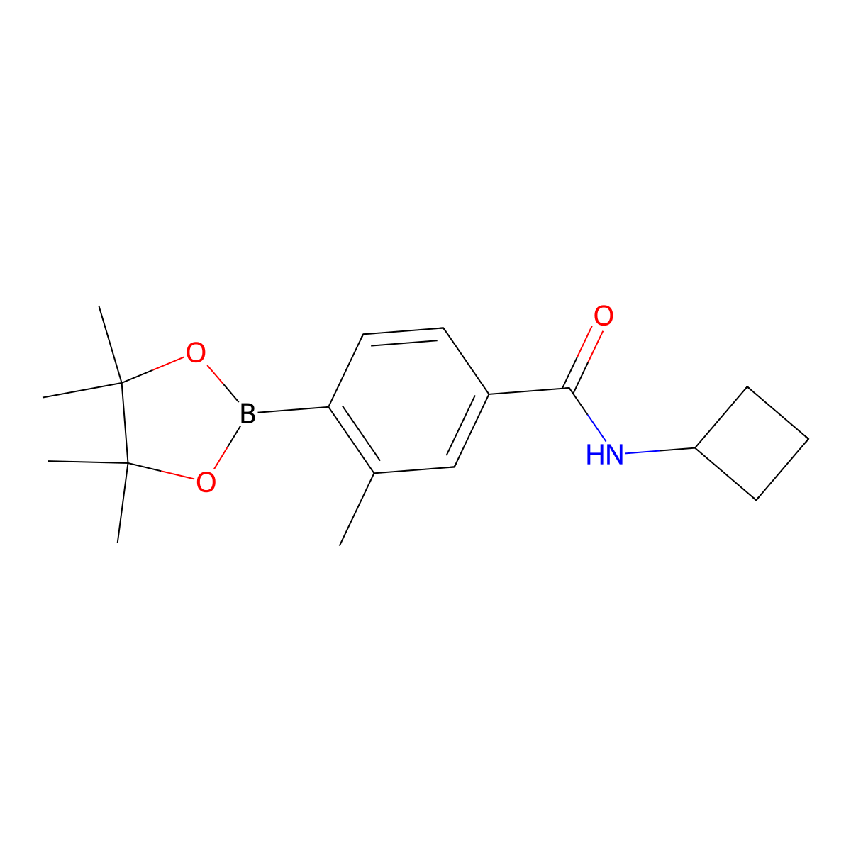 N-Cyclobutyl-3-methyl-4-(4,4,5,5-tetramethyl-1,3,2-dioxaborolan-2-yl)benzamide molecular structure, CAS 1692915-08-4