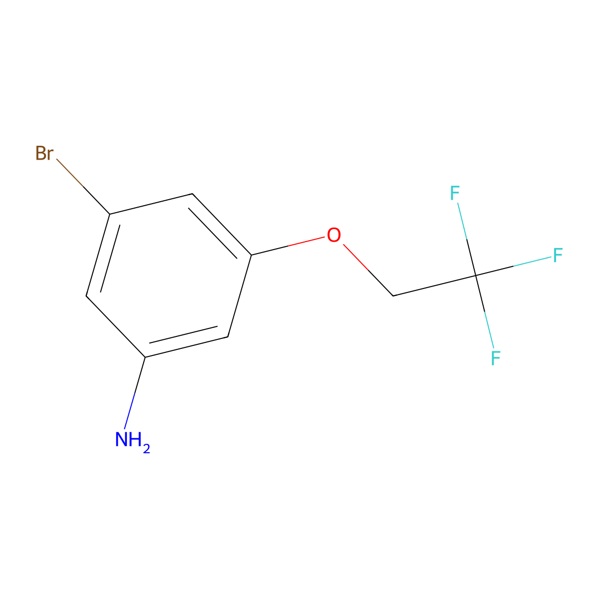 3-Bromo-5-(2,2,2-trifluoroethoxy)aniline molecular structure, CAS 1695758-32-7