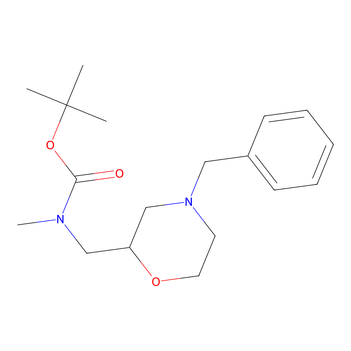 Tert-butyl (4-benzylmorpholin-2-yl)methylmethylcarbamate molecular structure, CAS 169749-93-3