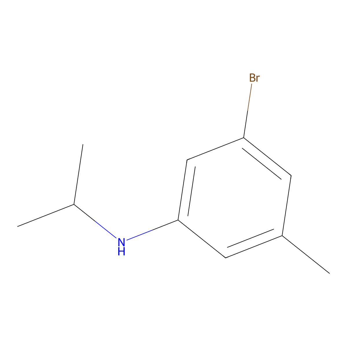 3-Bromo-5-methyl-N-(propan-2-yl)aniline molecular structure, CAS 1698134-20-1