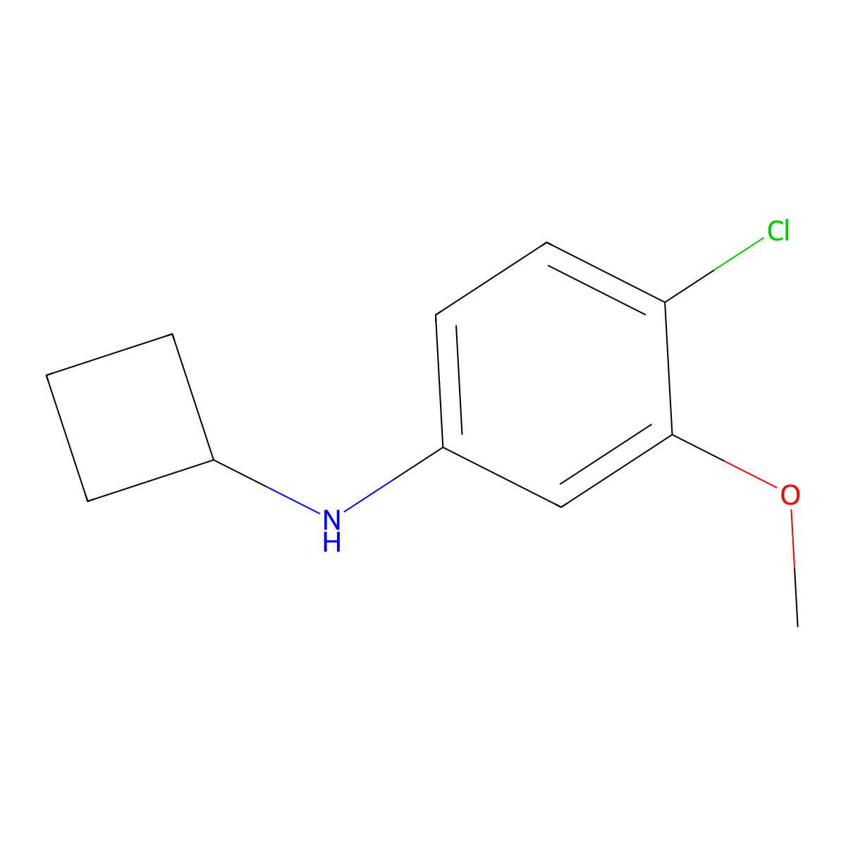 4-Chloro-N-cyclobutyl-3-methoxyaniline molecular structure, CAS 1699049-54-1