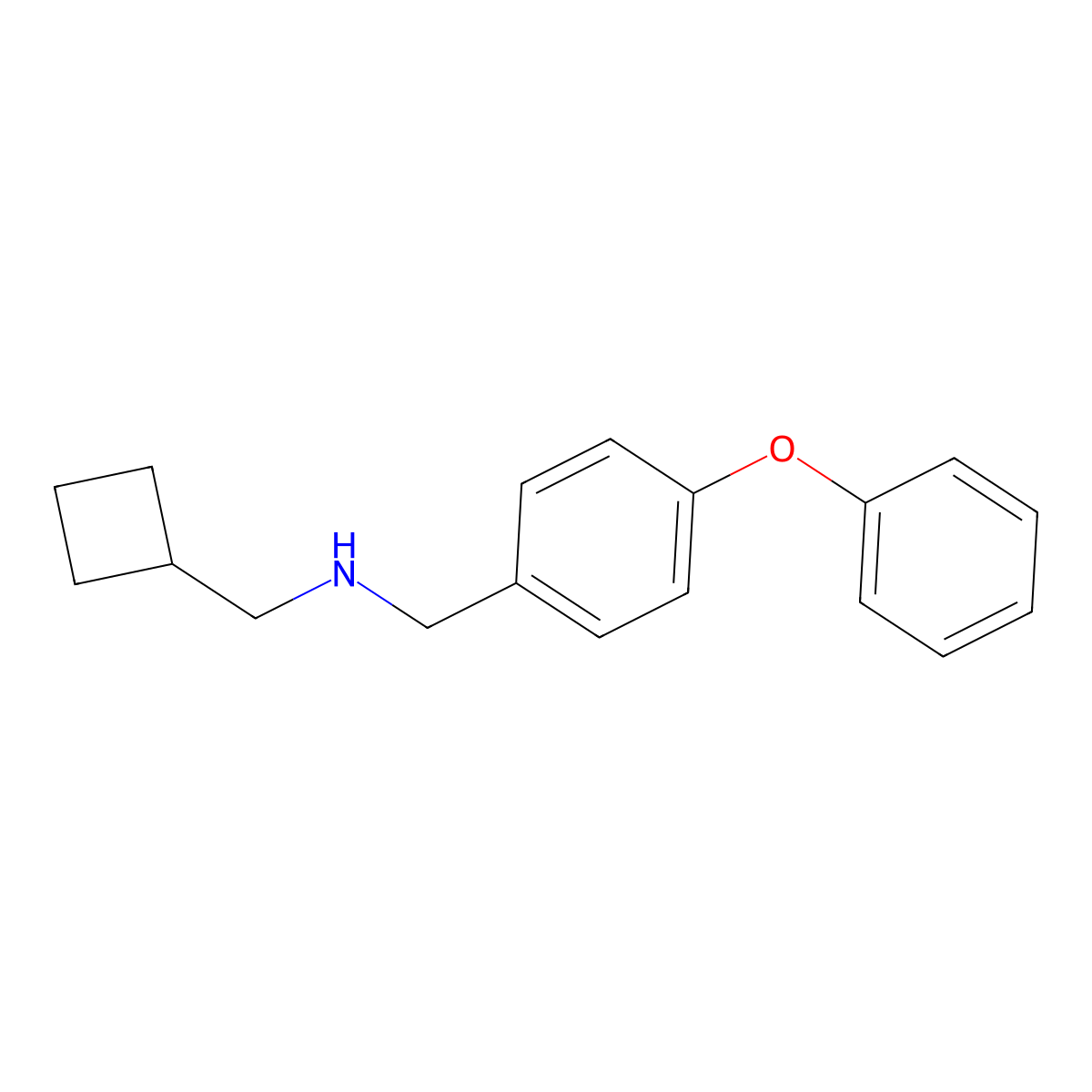 1-Cyclobutyl-N-[(4-phenoxyphenyl)methyl]methanamine molecular structure, CAS 169943-58-2