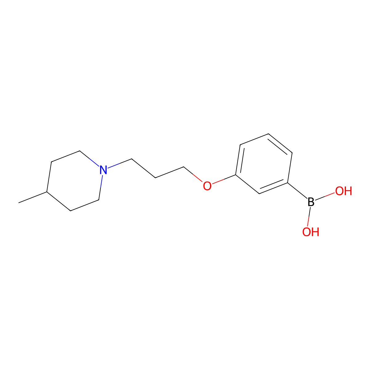 (3-(3-(4-Methylpiperidin-1-yl)propoxy)phenyl)boronic acid molecular structure, CAS 1704063-54-6