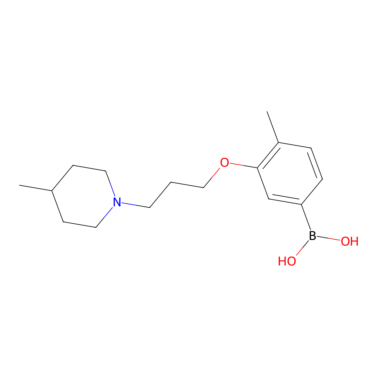 4-Methyl-3-(3-(4-methylpiperidin-1-yl)propoxy)phenylboronic acid molecular structure, CAS 1704064-30-1