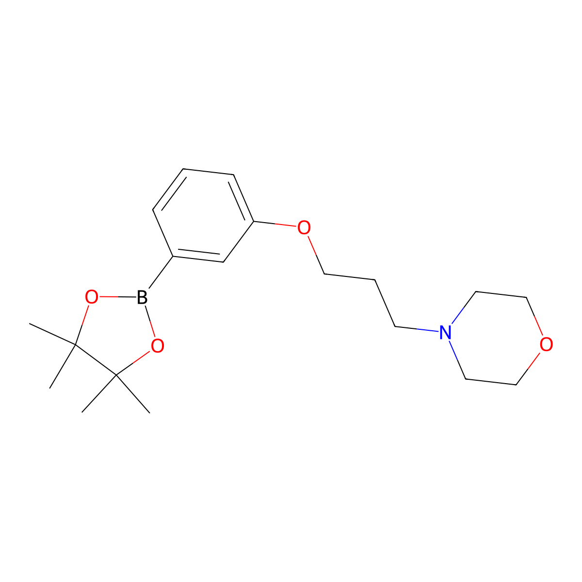 4-(3-(3-(4,4,5,5-Tetramethyl-1,3,2-dioxaborolan-2-yl)phenoxy)propyl)morpholine molecular structure, CAS 1704065-77-9