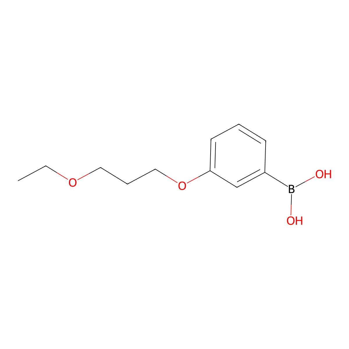 (3-(3-Ethoxypropoxy)phenyl)boronic acid molecular structure, CAS 1704066-84-1