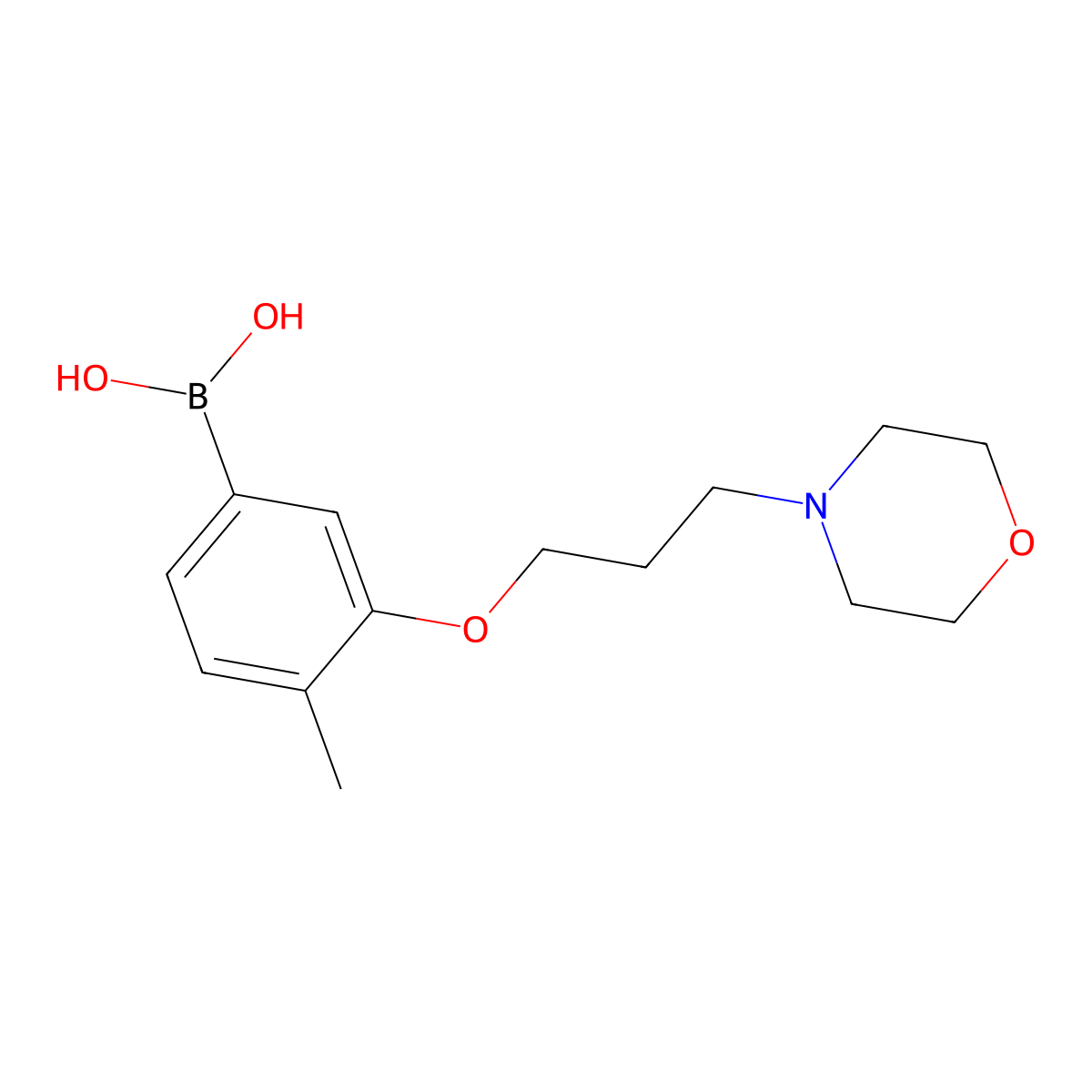(4-Methyl-3-(3-morpholinopropoxy)phenyl)boronic acid molecular structure, CAS 1704066-86-3