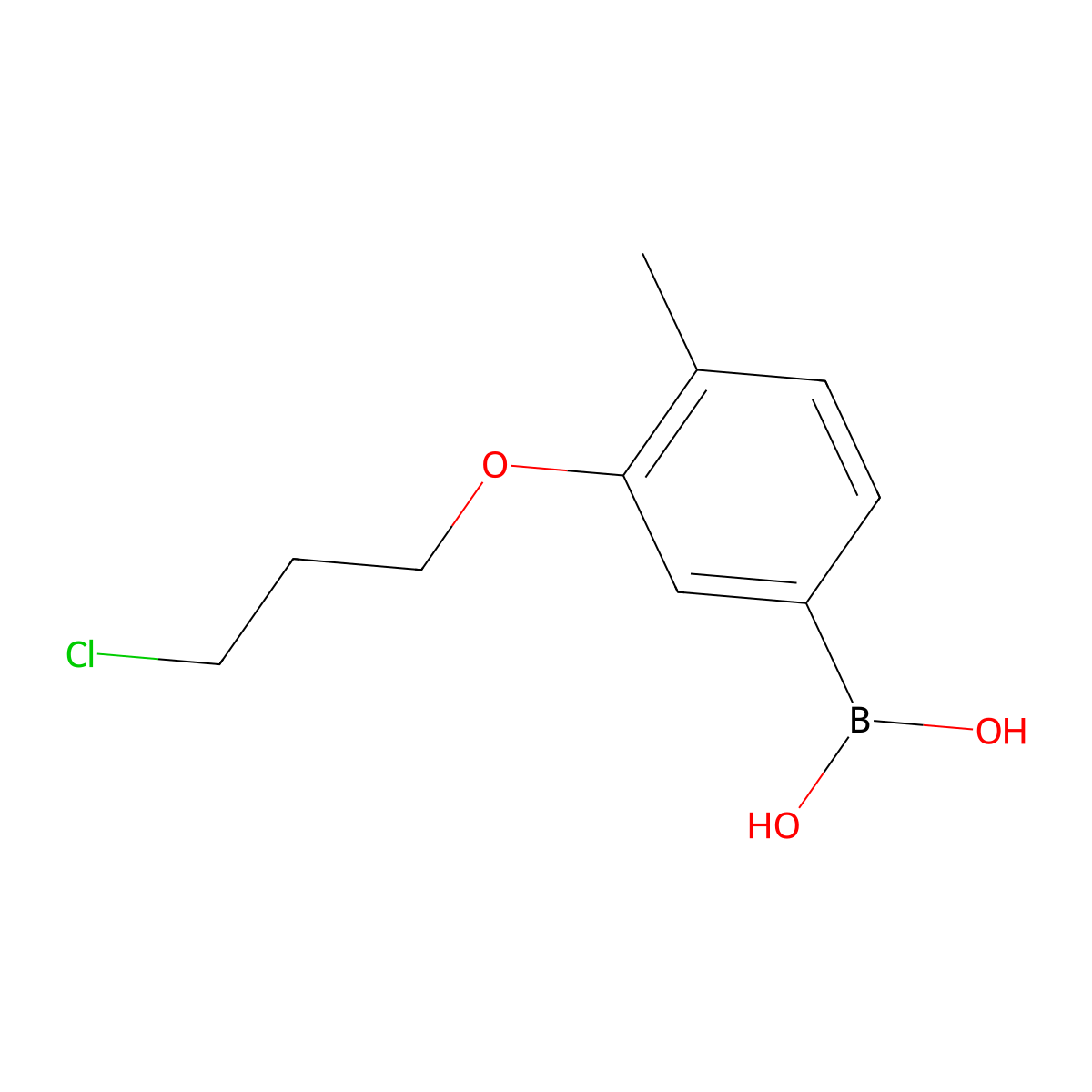 (3-(3-Chloropropoxy)-4-methylphenyl)boronic acid molecular structure, CAS 1704066-88-5