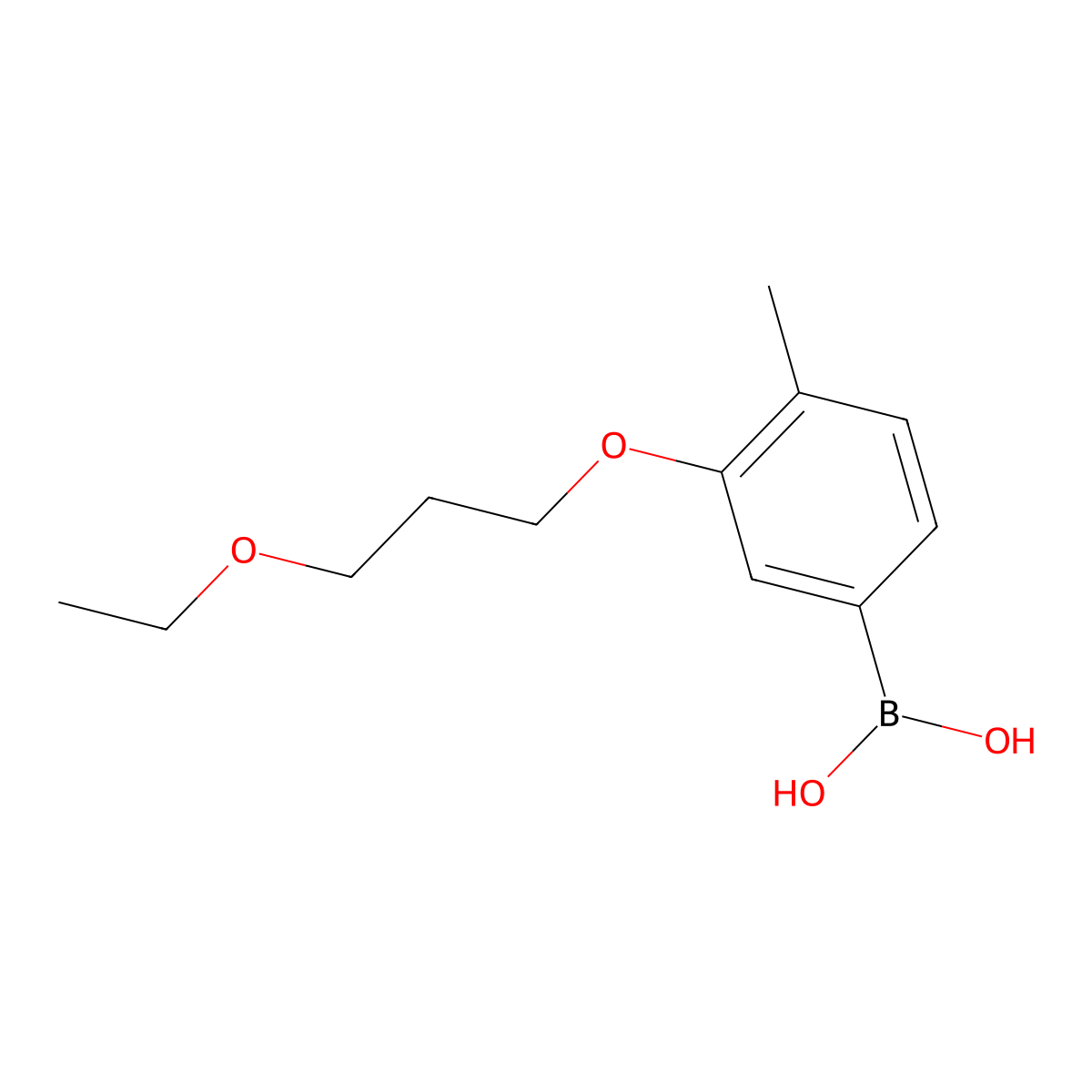 (3-(3-Ethoxypropoxy)-4-methylphenyl)boronic acid molecular structure, CAS 1704067-37-7