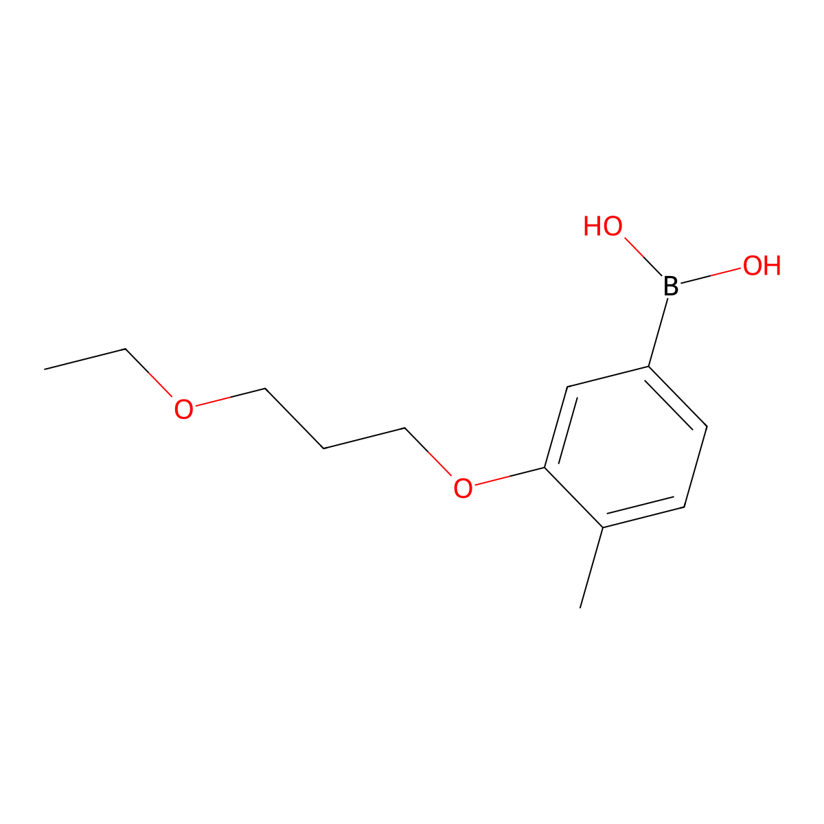 (3-(3-Ethoxypropoxy)-4-methylphenyl)boronic acid molecular structure, CAS 1704067-37-7