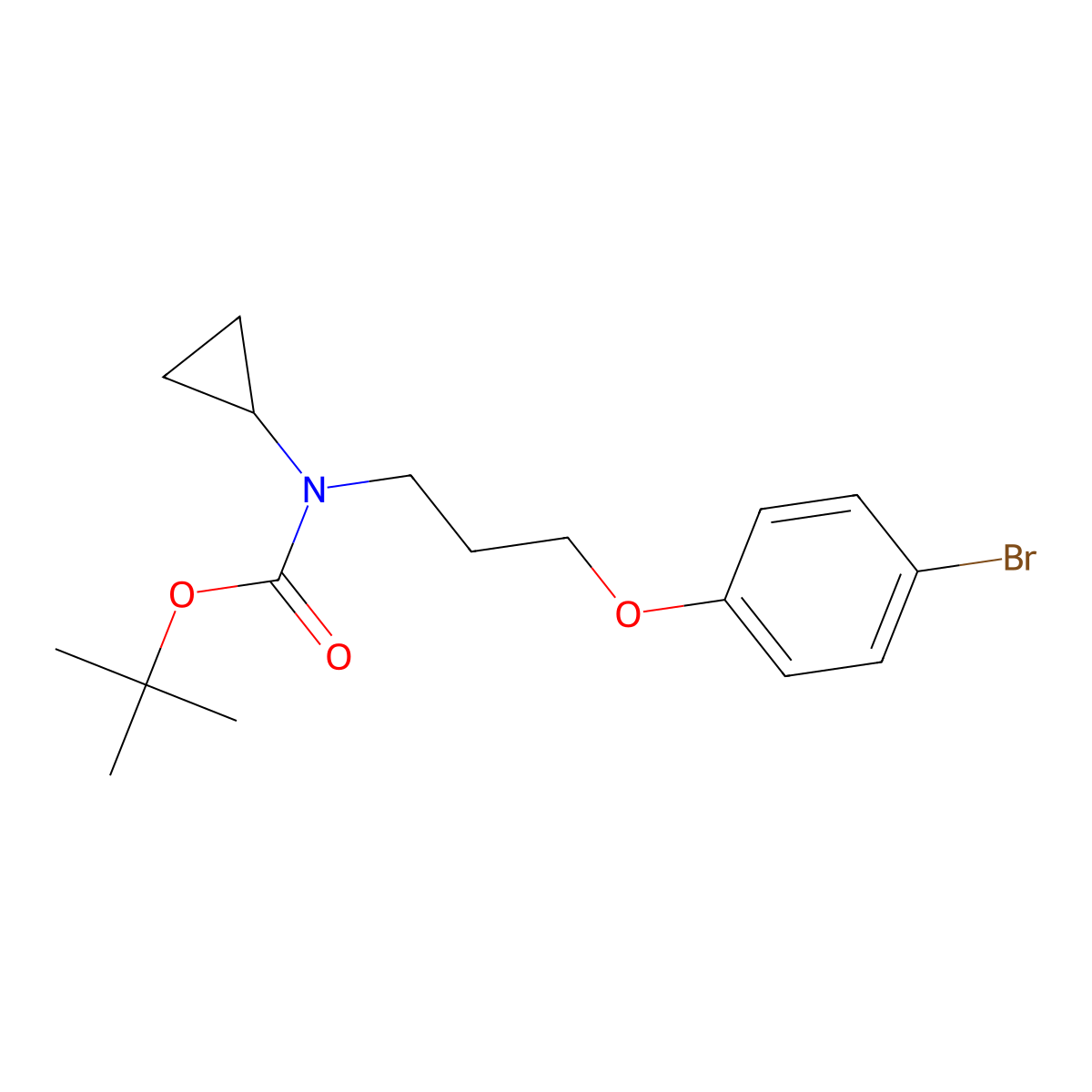 Tert-butyl (3-(4-bromophenoxy)propyl)(cyclopropyl)carbamate molecular structure, CAS 1704069-43-1