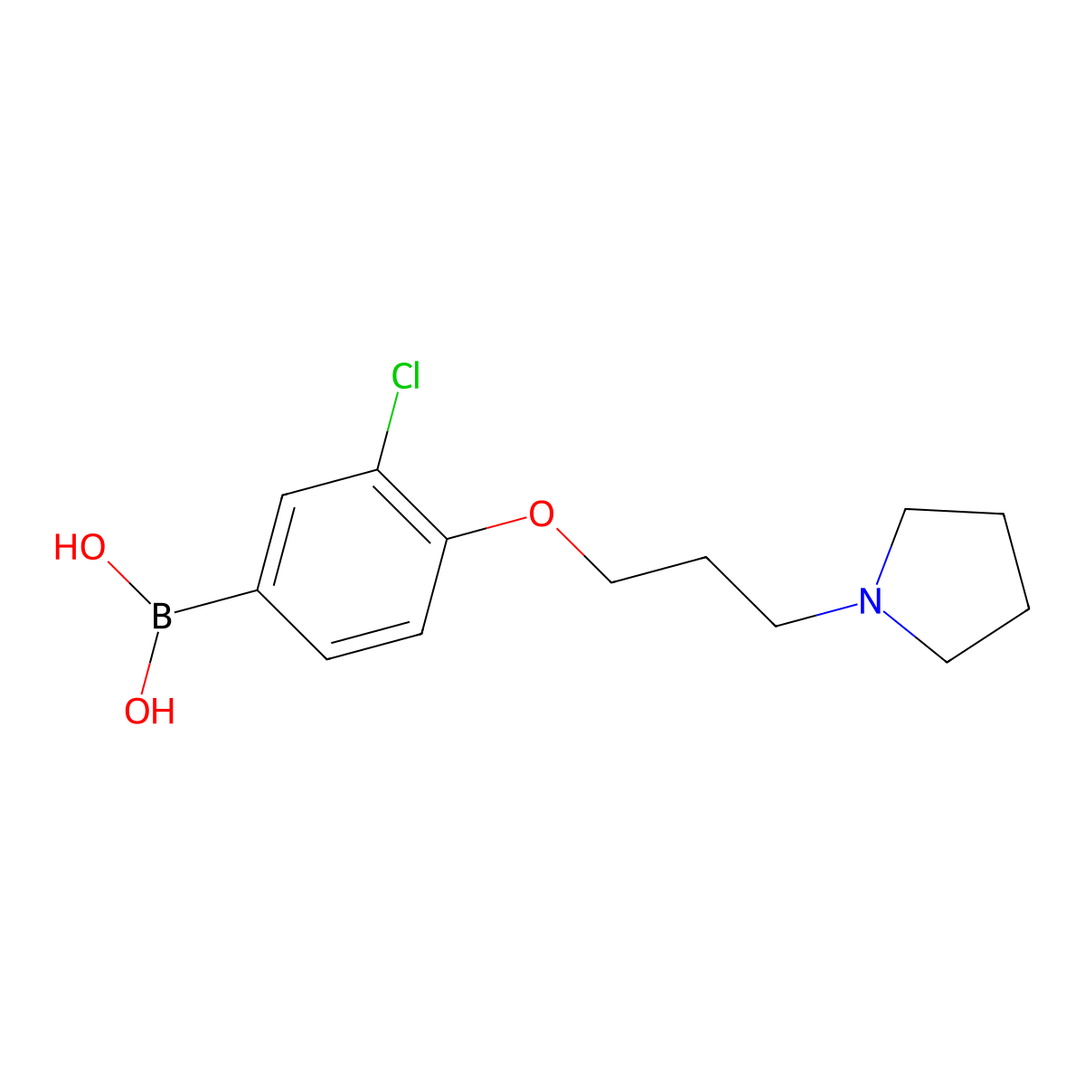 (3-Chloro-4-(3-(pyrrolidin-1-yl)propoxy)phenyl)boronic acid molecular structure, CAS 1704074-32-7