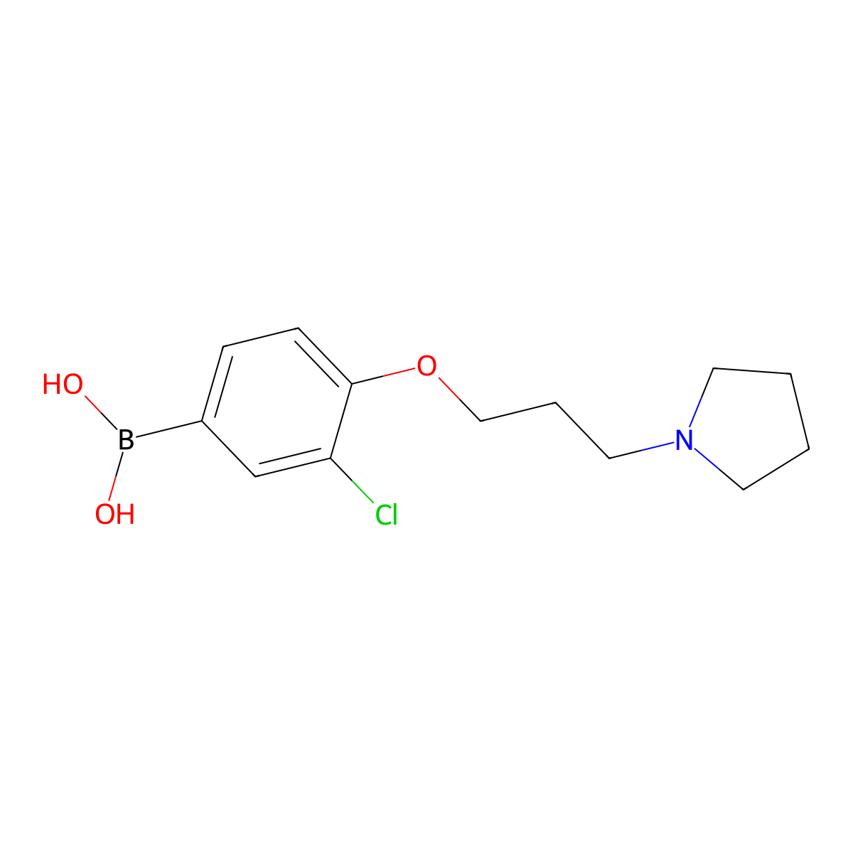 (3-Chloro-4-(3-(pyrrolidin-1-yl)propoxy)phenyl)boronic acid molecular structure, CAS 1704074-32-7