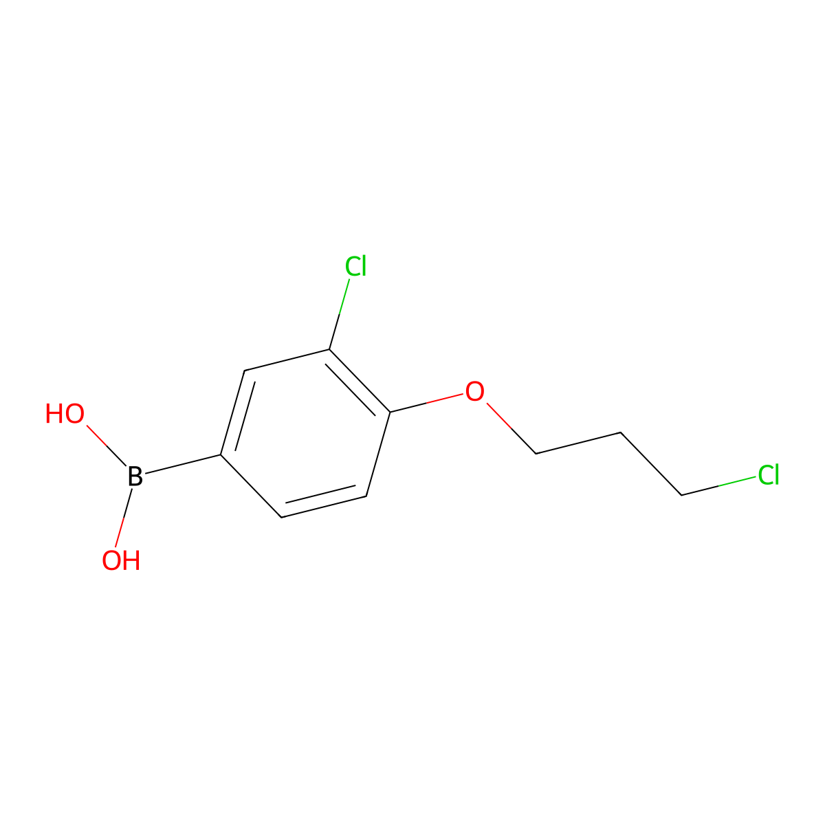 (3-Chloro-4-(3-chloropropoxy)phenyl)boronic acid molecular structure, CAS 1704074-33-8
