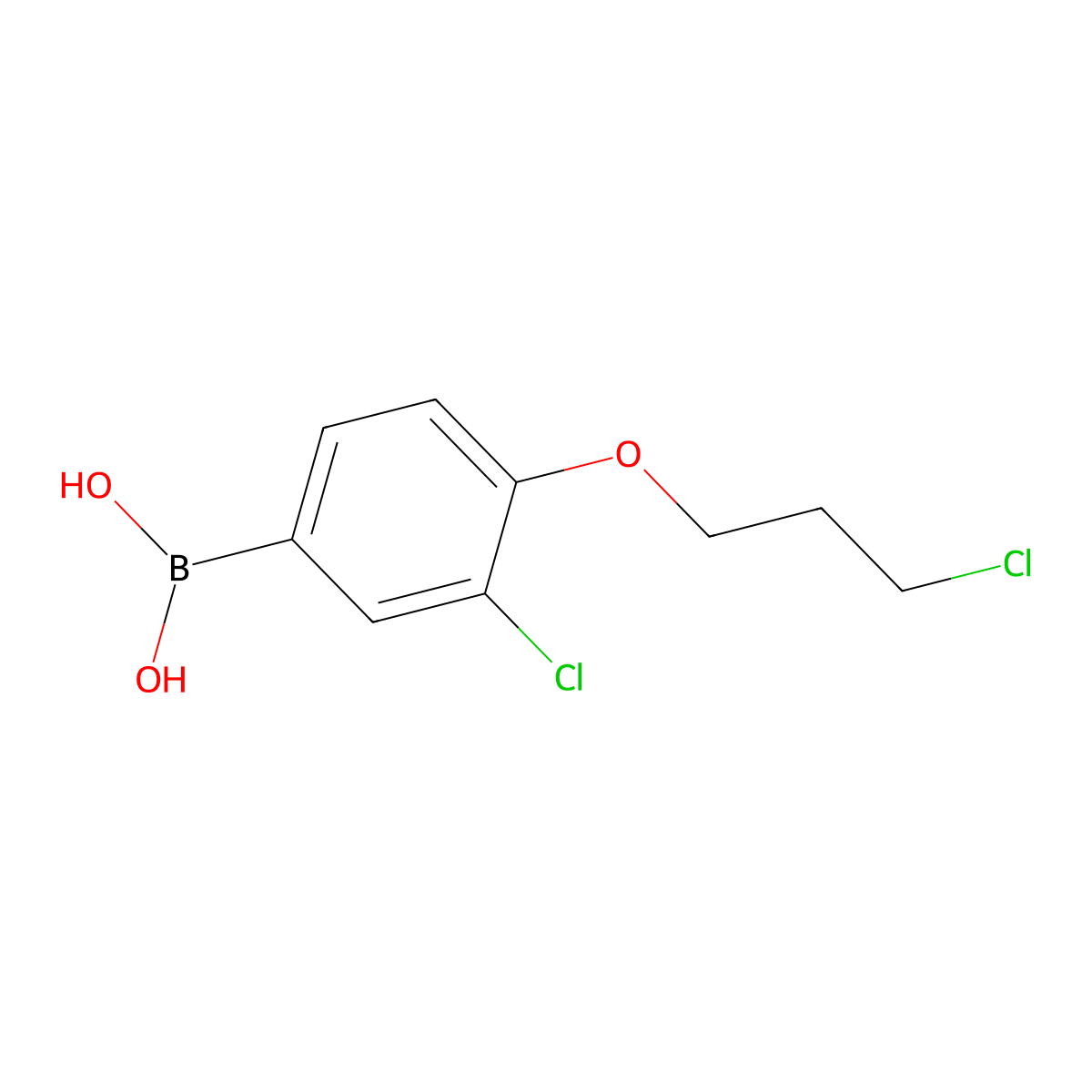 (3-Chloro-4-(3-chloropropoxy)phenyl)boronic acid molecular structure, CAS 1704074-33-8