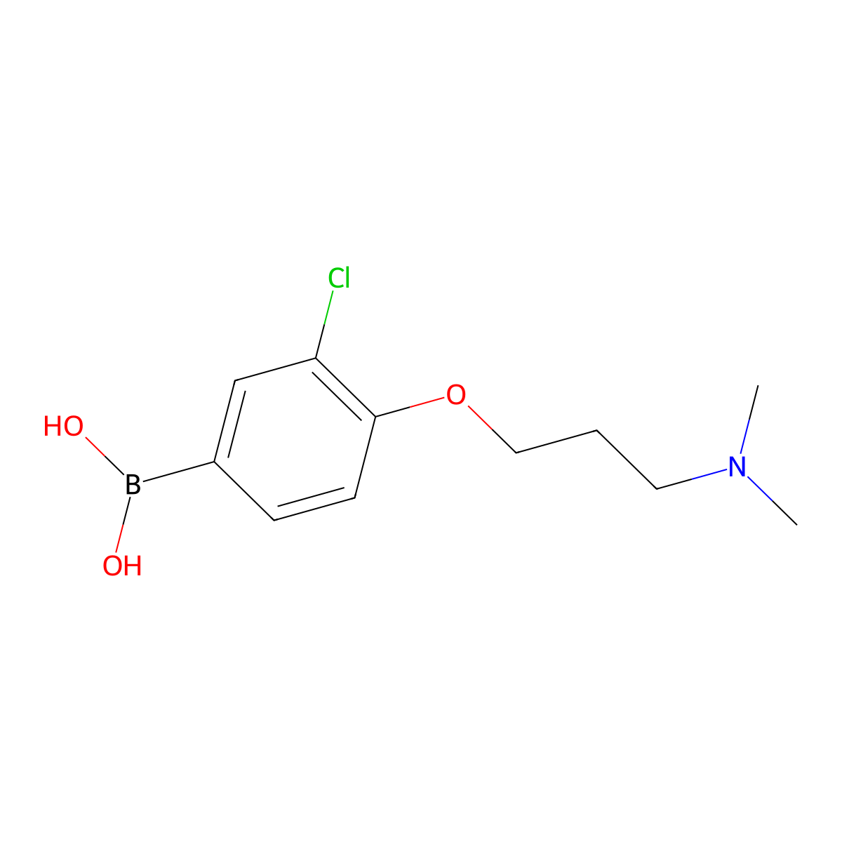 (3-Chloro-4-(3-(dimethylamino)propoxy)phenyl)boronic acid molecular structure, CAS 1704080-14-7