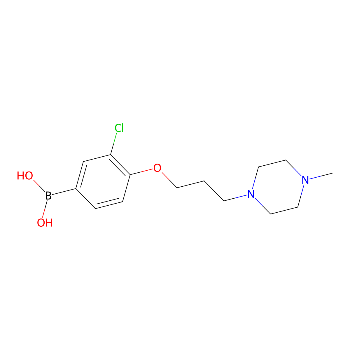 (3-Chloro-4-(3-(4-methylpiperazin-1-yl)propoxy)phenyl)boronic acid molecular structure, CAS 1704081-44-6
