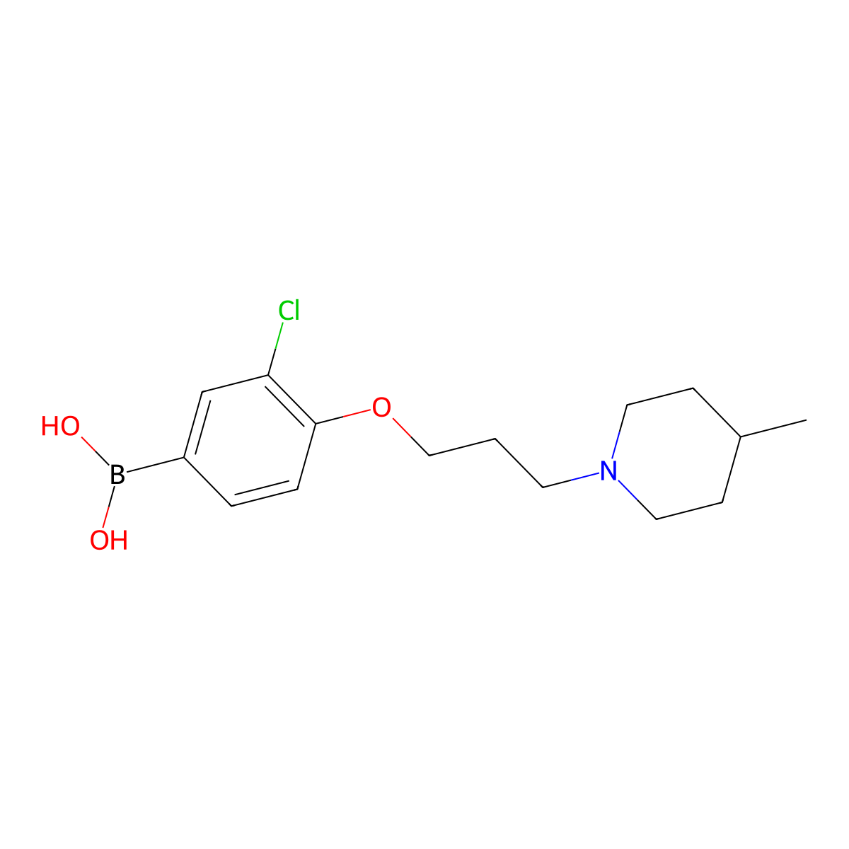 (3-Chloro-4-(3-(4-methylpiperidin-1-yl)propoxy)phenyl)boronic acid molecular structure, CAS 1704081-78-6