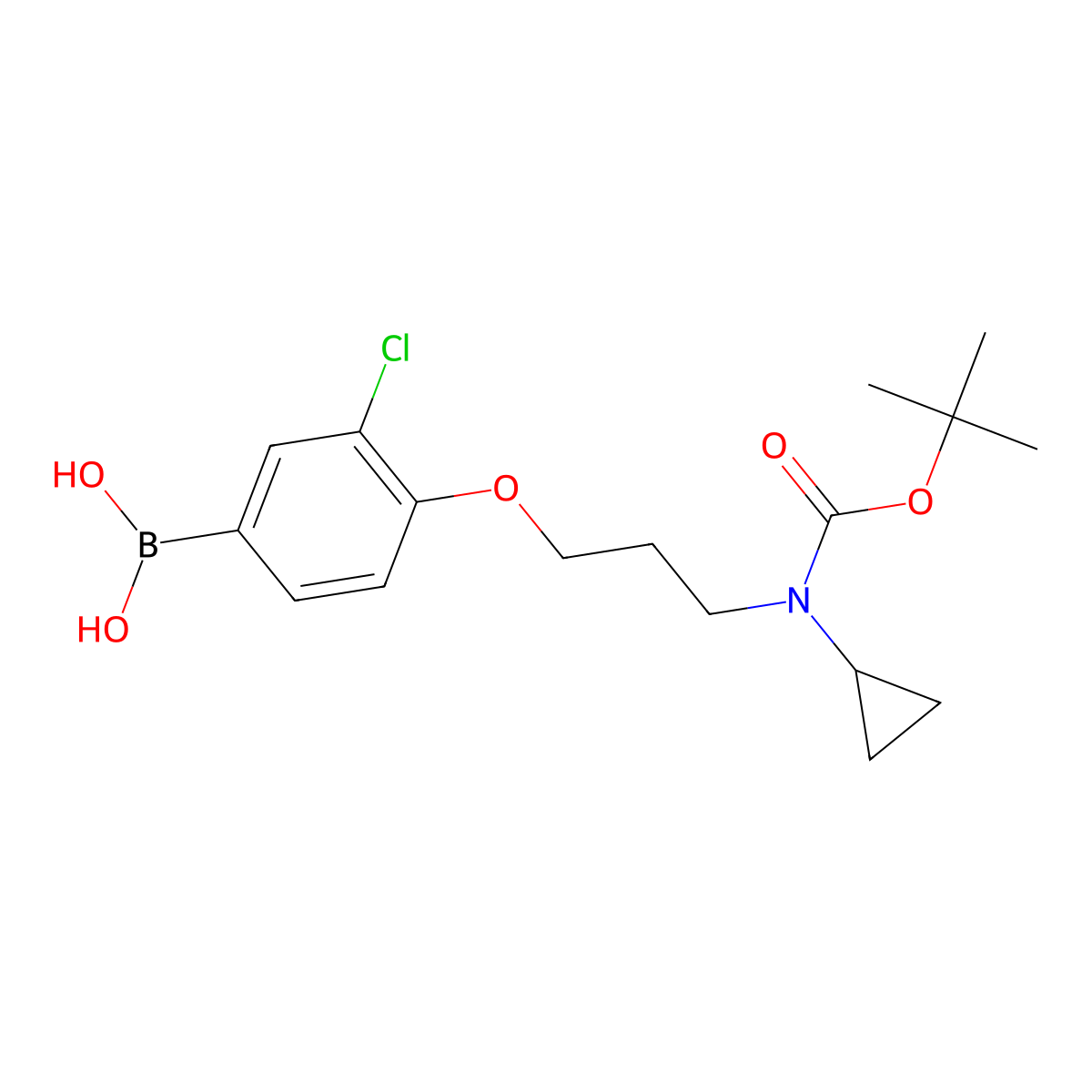 (4-(3-((Tert-butoxycarbonyl)(cyclopropyl)amino)propoxy)-3-chlorophenyl)boronic acid molecular structure, CAS 1704096-80-9
