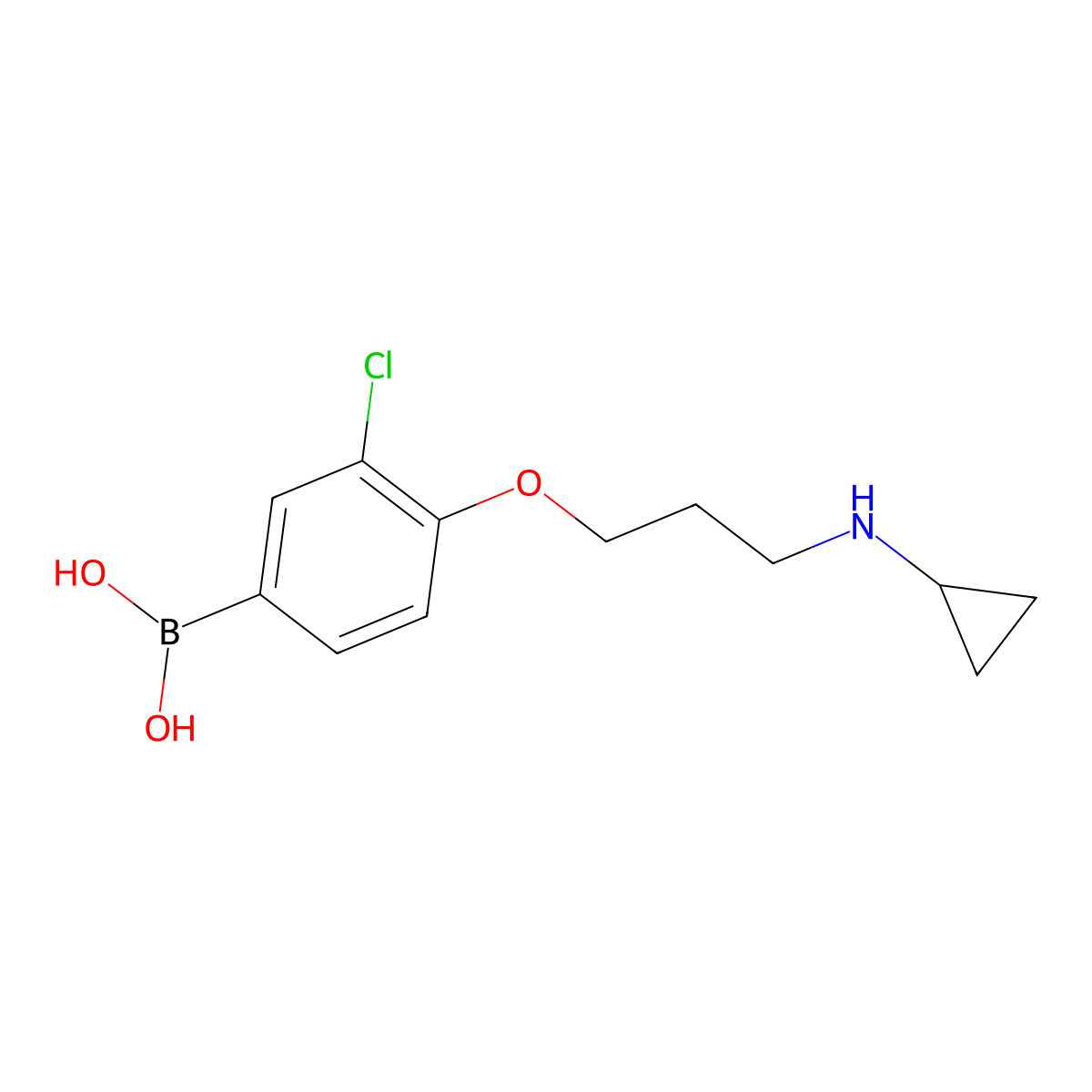 (3-Chloro-4-(3-(cyclopropylamino)propoxy)phenyl)boronic acid molecular structure, CAS 1704096-89-8