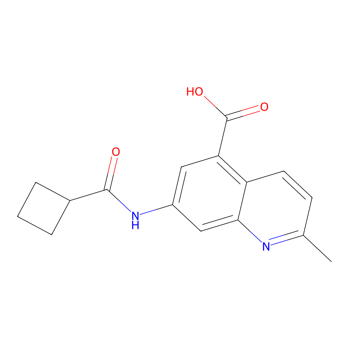 7-[(Cyclobutylcarbonyl)amino]-2-methyl-5-quinolinecarboxylic acid molecular structure, CAS 1706455-78-8