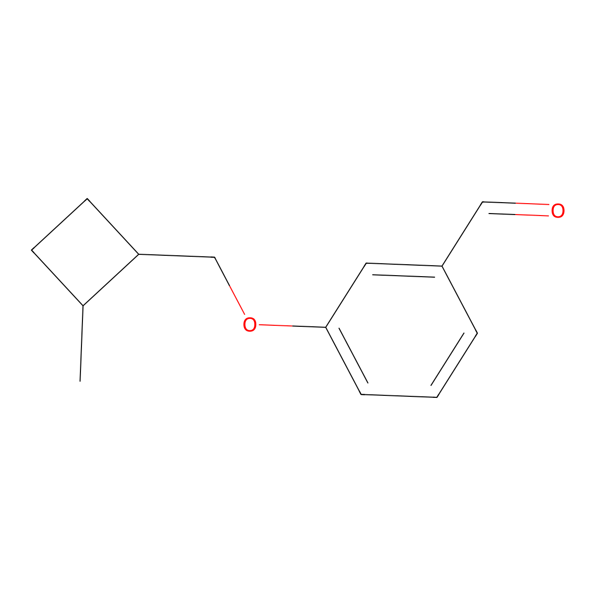 3-((2-Methylcyclobutyl)methoxy)benzaldehyde molecular structure, CAS 1708037-61-9