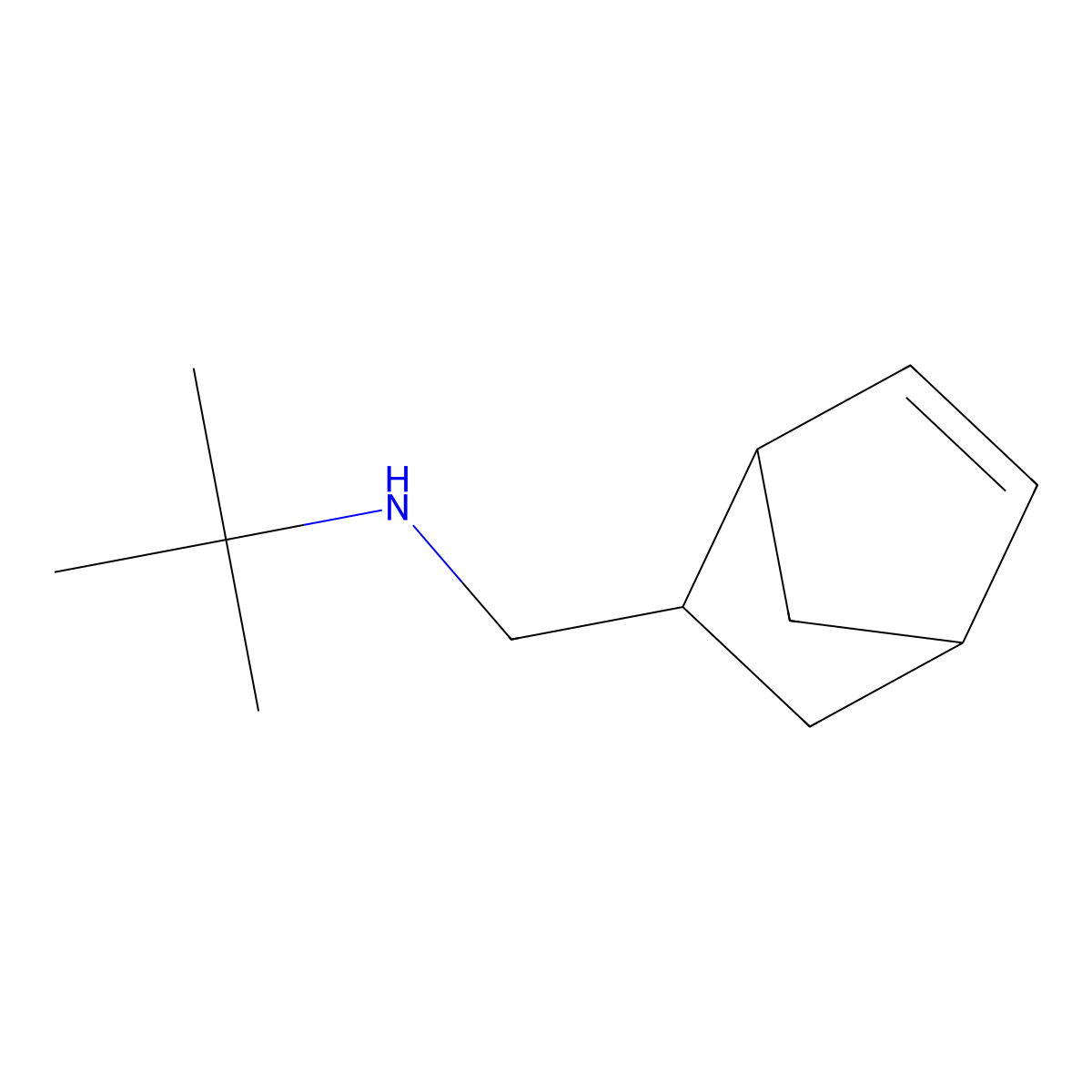 ({Bicyclo[2.2.1]hept-5-en-2-yl}methyl)(tert-butyl)amine molecular structure, CAS 171884-46-1