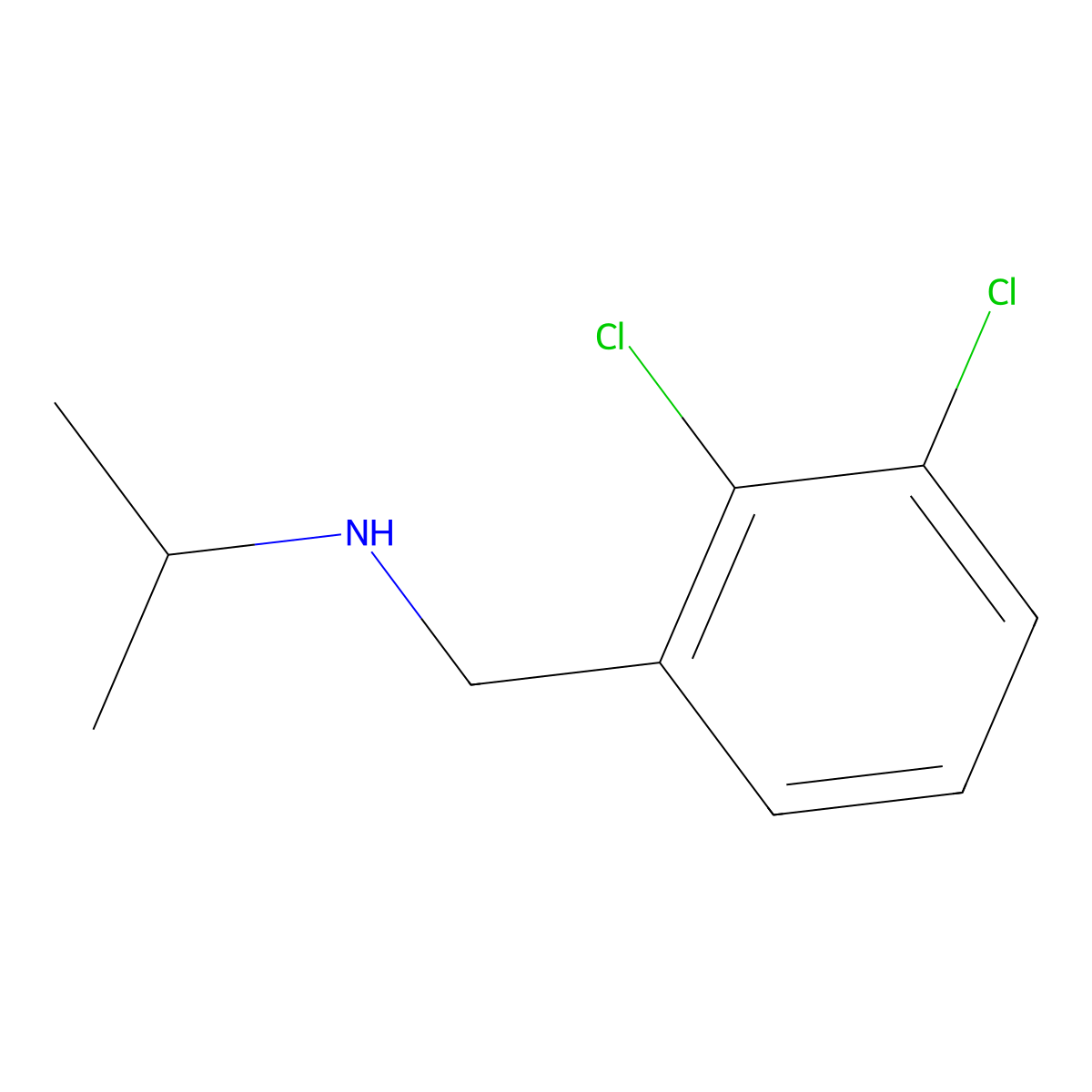 (2,3-Dichloro-benzyl)-isopropyl-amine molecular structure, CAS 172499-73-9