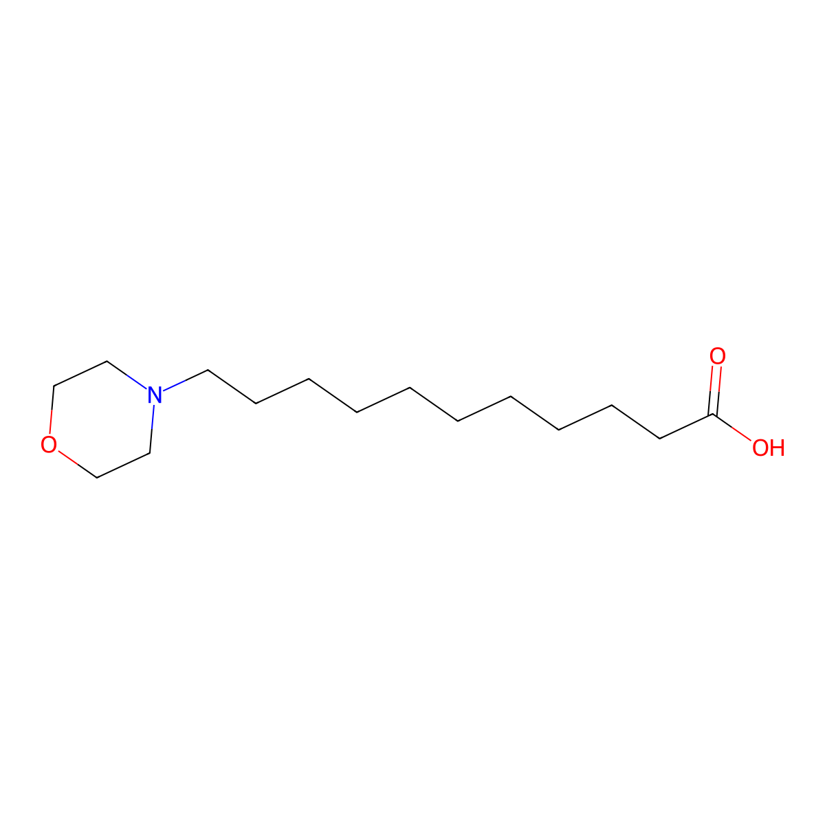 11-Morpholinoundecanoic acid molecular structure, CAS 173390-53-9