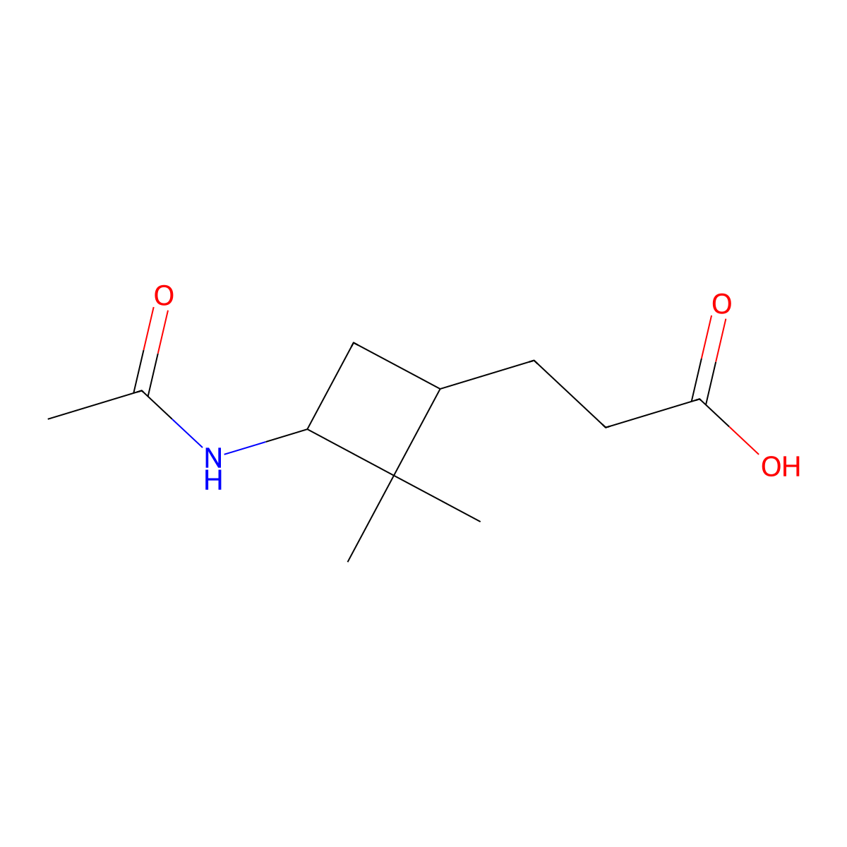 3-[(1S,3R)-3-acetamido-2,2-dimethylcyclobutyl]propanoic acid molecular structure, CAS 175844-64-1