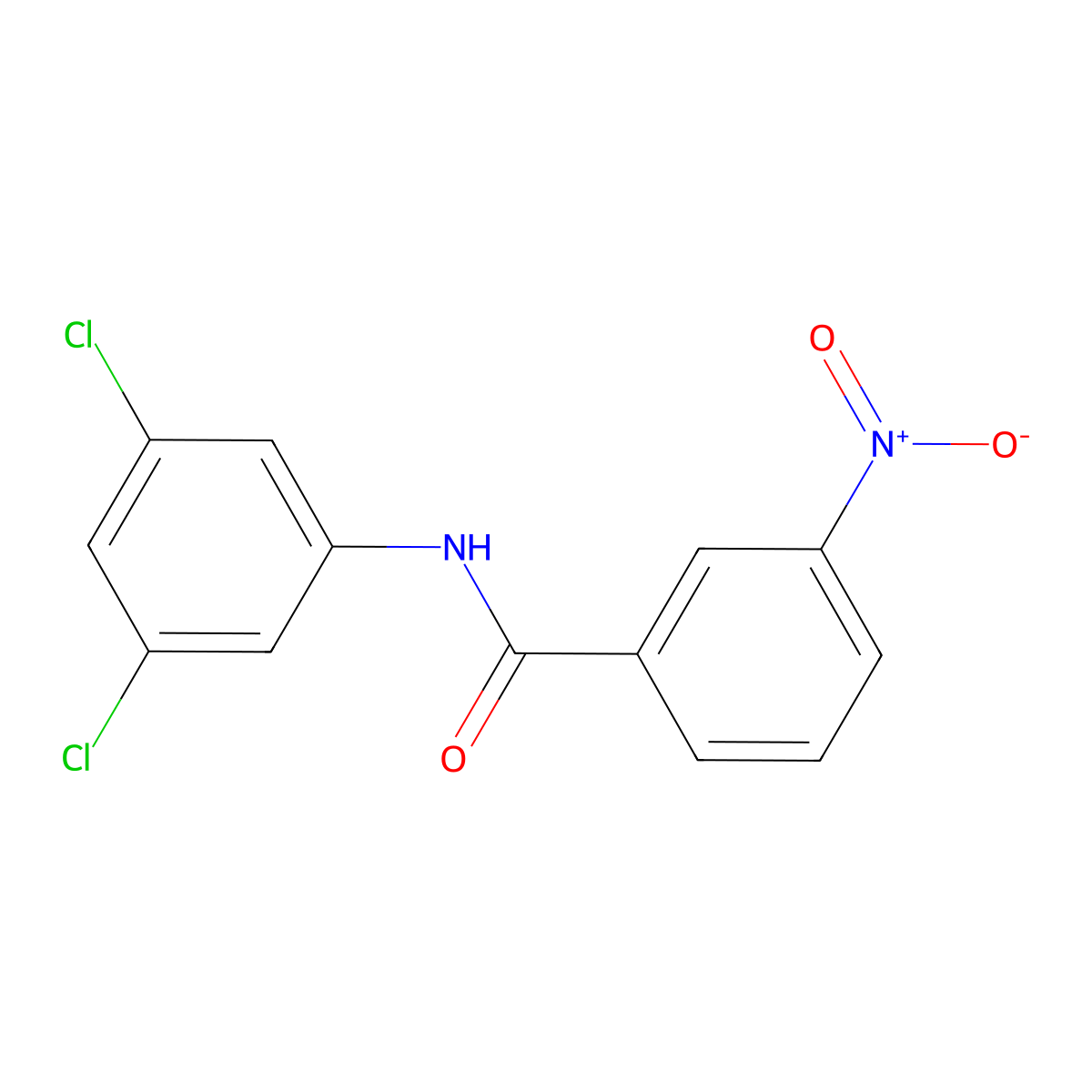 N-(3,5-dichlorophenyl)-3-nitrobenzamide molecular structure, CAS 176033-47-9