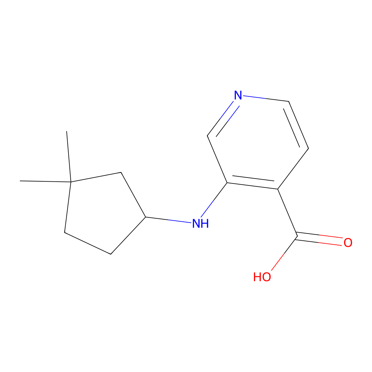 3-[(3,3-Dimethylcyclopentyl)amino]pyridine-4-carboxylic acid molecular structure, CAS 1772929-92-6