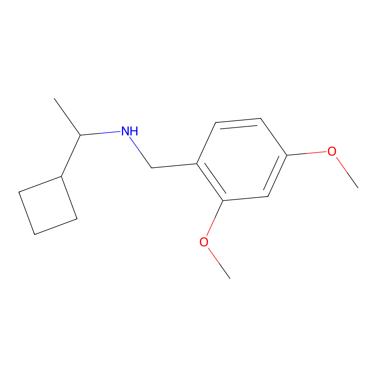 (1-Cyclobutylethyl)((2,4-dimethoxyphenyl)methyl)amine molecular structure, CAS 1774933-39-9
