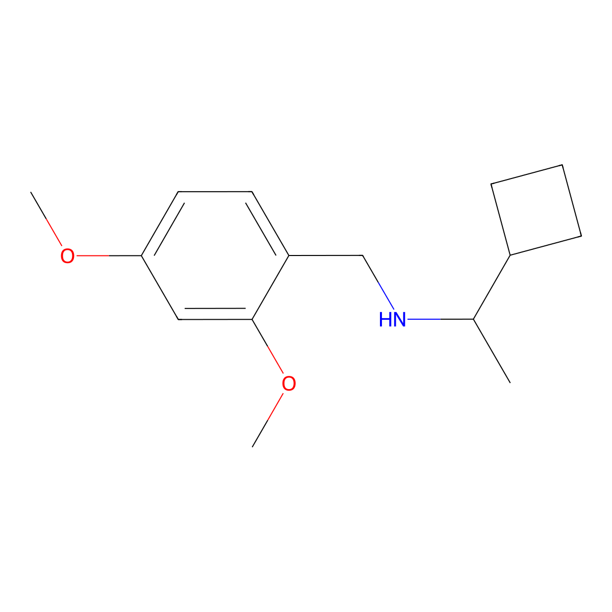 (1-Cyclobutylethyl)((2,4-dimethoxyphenyl)methyl)amine molecular structure, CAS 1774933-39-9
