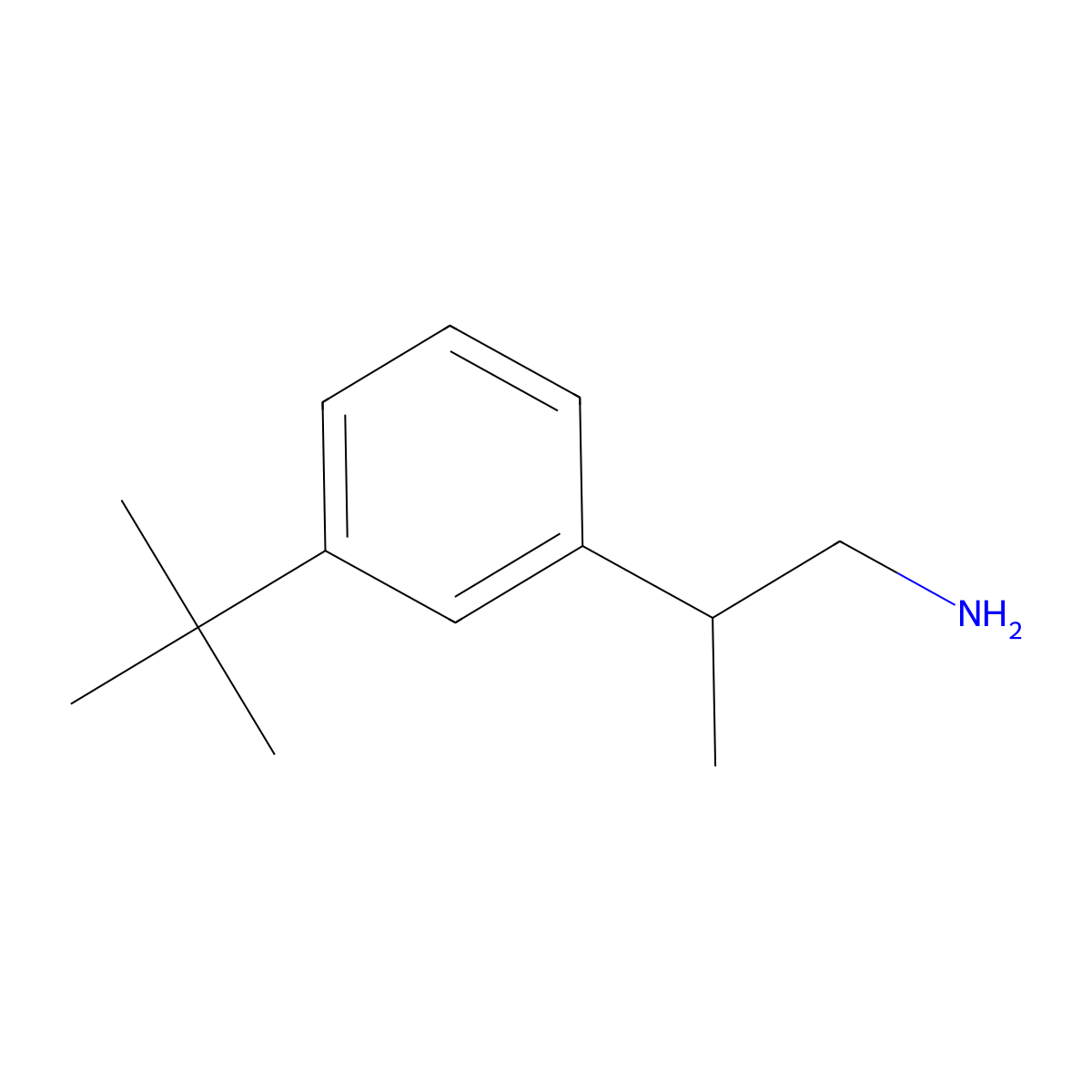 2-(3-Tert-butylphenyl)propan-1-amine molecular structure, CAS 1780455-56-2