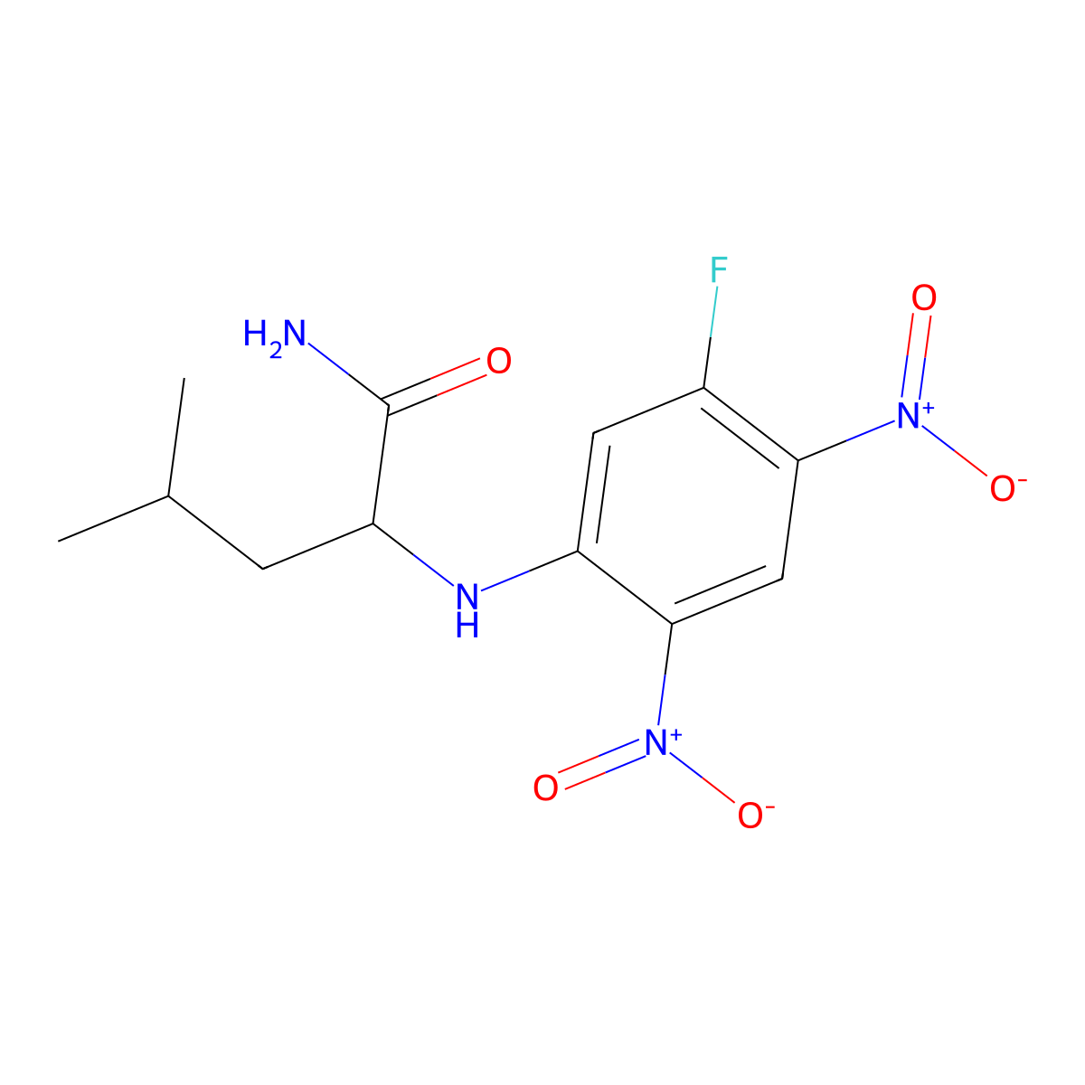 N~2~-(5-Fluoro-2,4-dinitrophenyl)-L-leucinamide molecular structure, CAS 178065-29-7