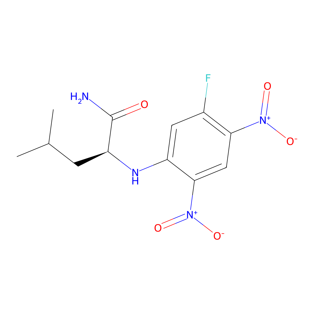 N~2~-(5-Fluoro-2,4-dinitrophenyl)-L-leucinamide molecular structure, CAS 178065-29-7