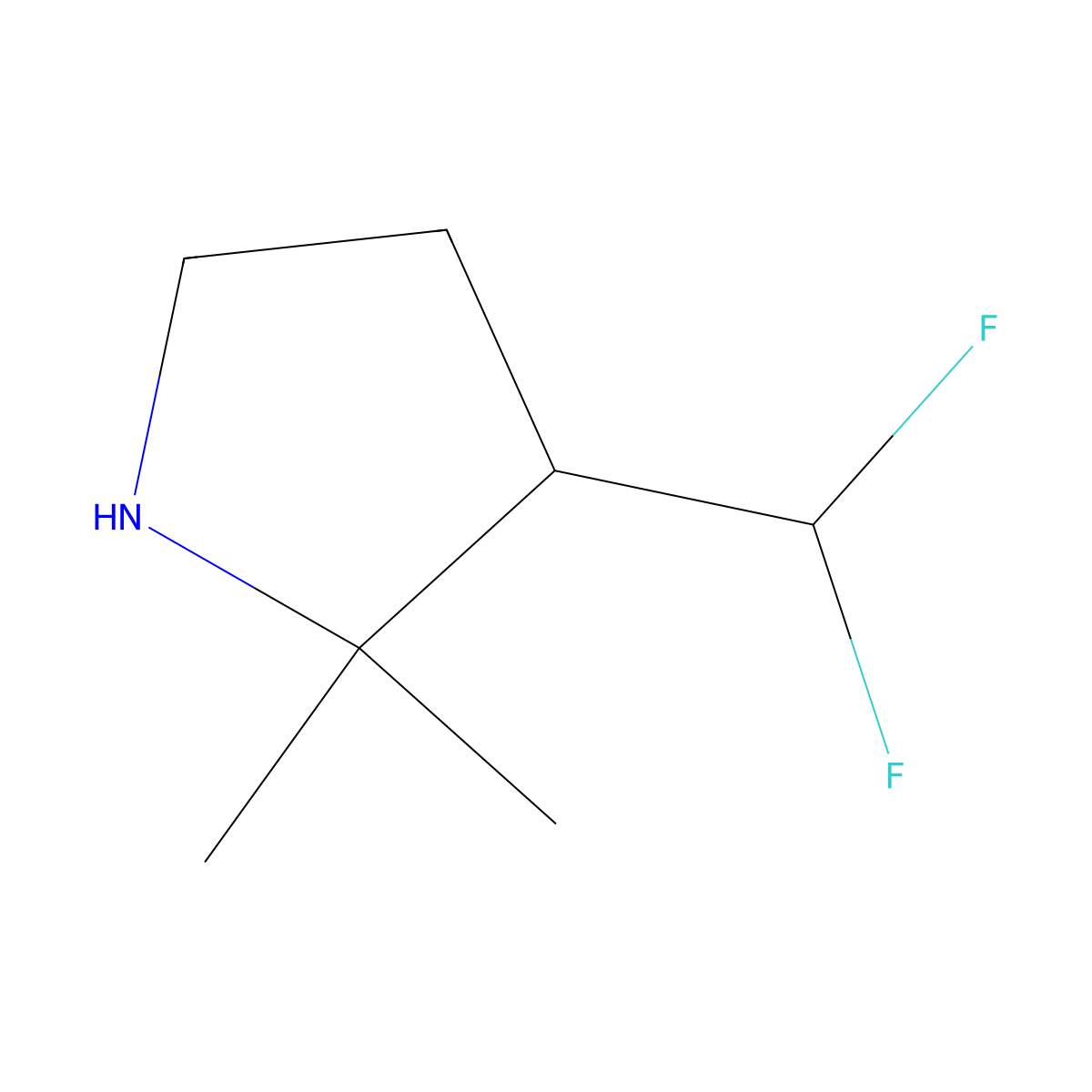 3-(Difluoromethyl)-2,2-dimethylpyrrolidine molecular structure, CAS 1781002-08-1