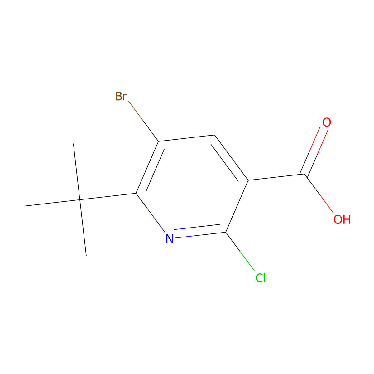 5-Bromo-6-(tert-butyl)-2-chloronicotinic acid molecular structure, CAS 1781080-99-6