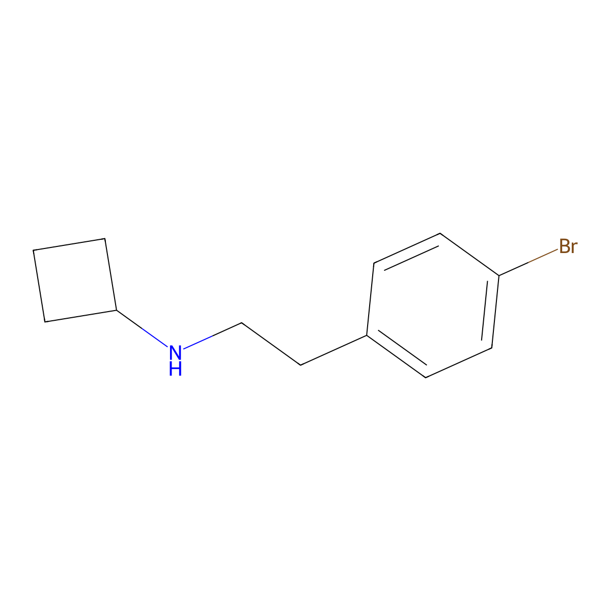 N-[2-(4-bromophenyl)ethyl]cyclobutanamine molecular structure, CAS 1781534-10-8