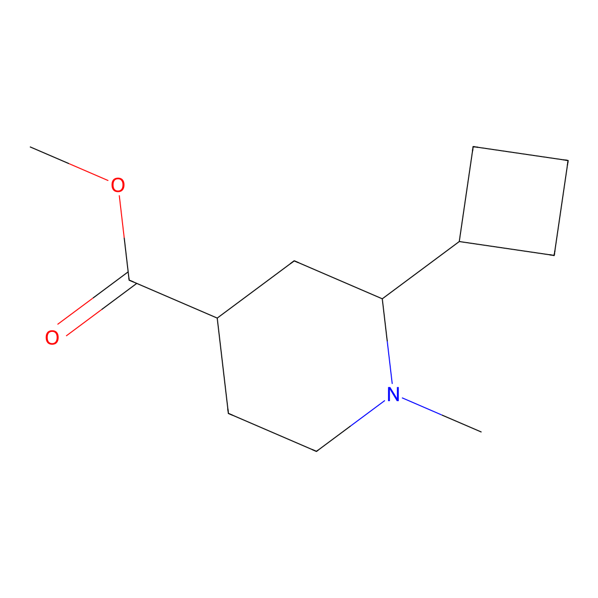 Methyl 2-cyclobutyl-1-methylpiperidine-4-carboxylate molecular structure, CAS 1782479-44-0
