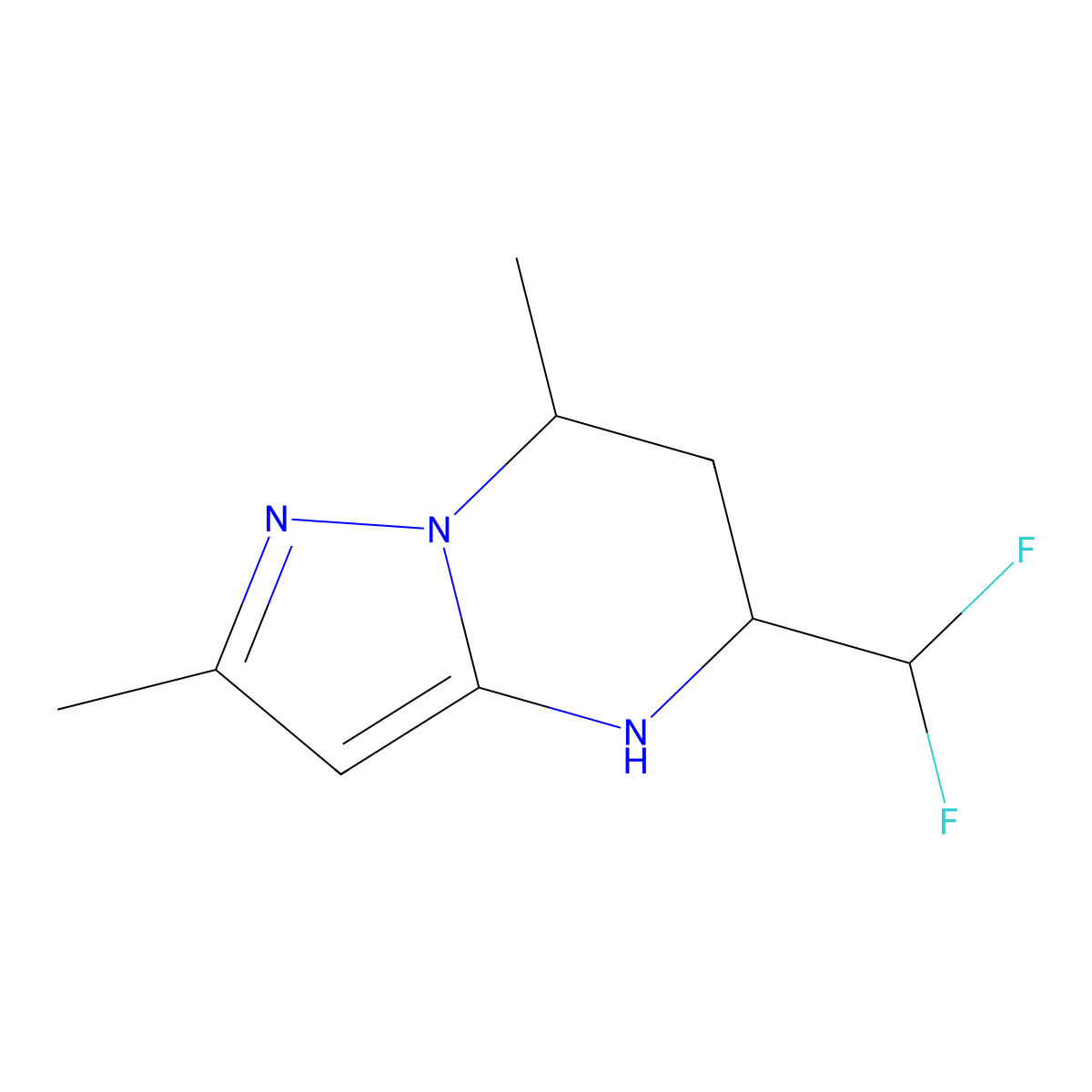 5-(Difluoromethyl)-2,7-dimethyl-4,5,6,7-tetrahydropyrazolo[1,5-a]pyrimidine molecular structure, CAS 1789048-60-7