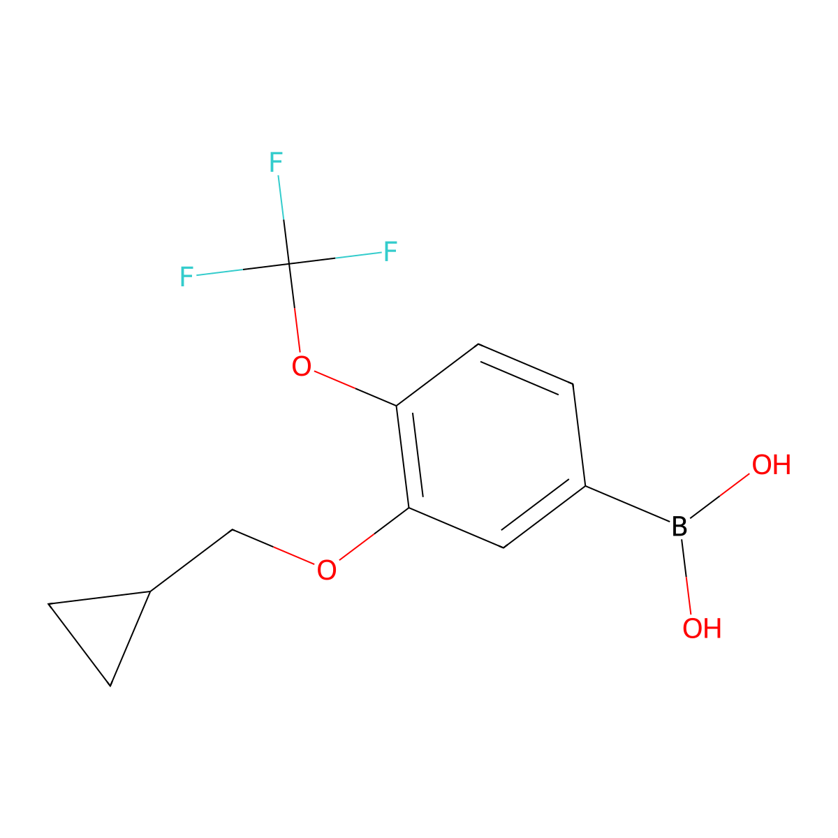 3-(Cyclopropylmethoxy)-4-(trifluoromethoxy)phenylboronic acid molecular structure, CAS 1793003-76-5